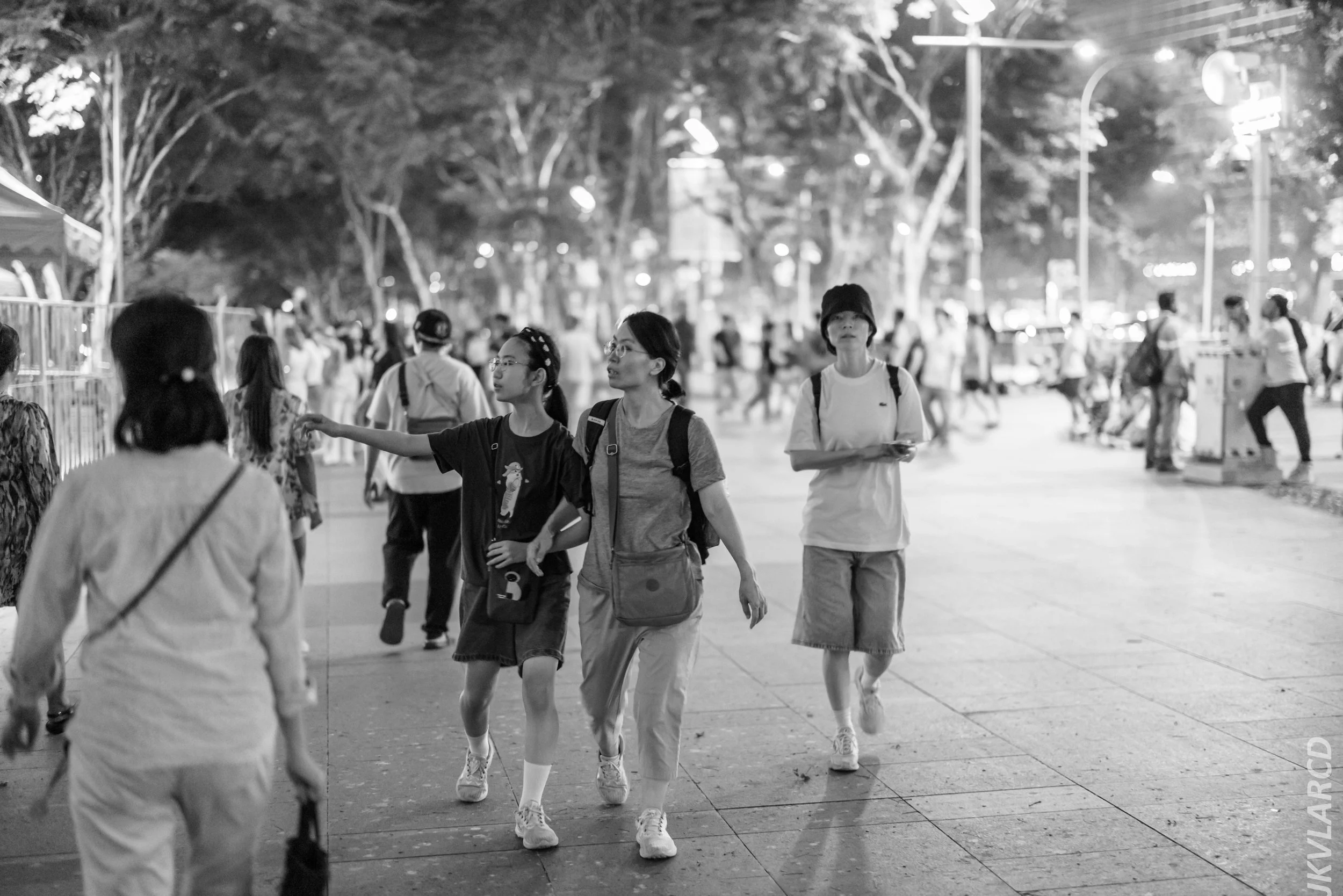 EOS R5_2024_07_27_0011.jpg