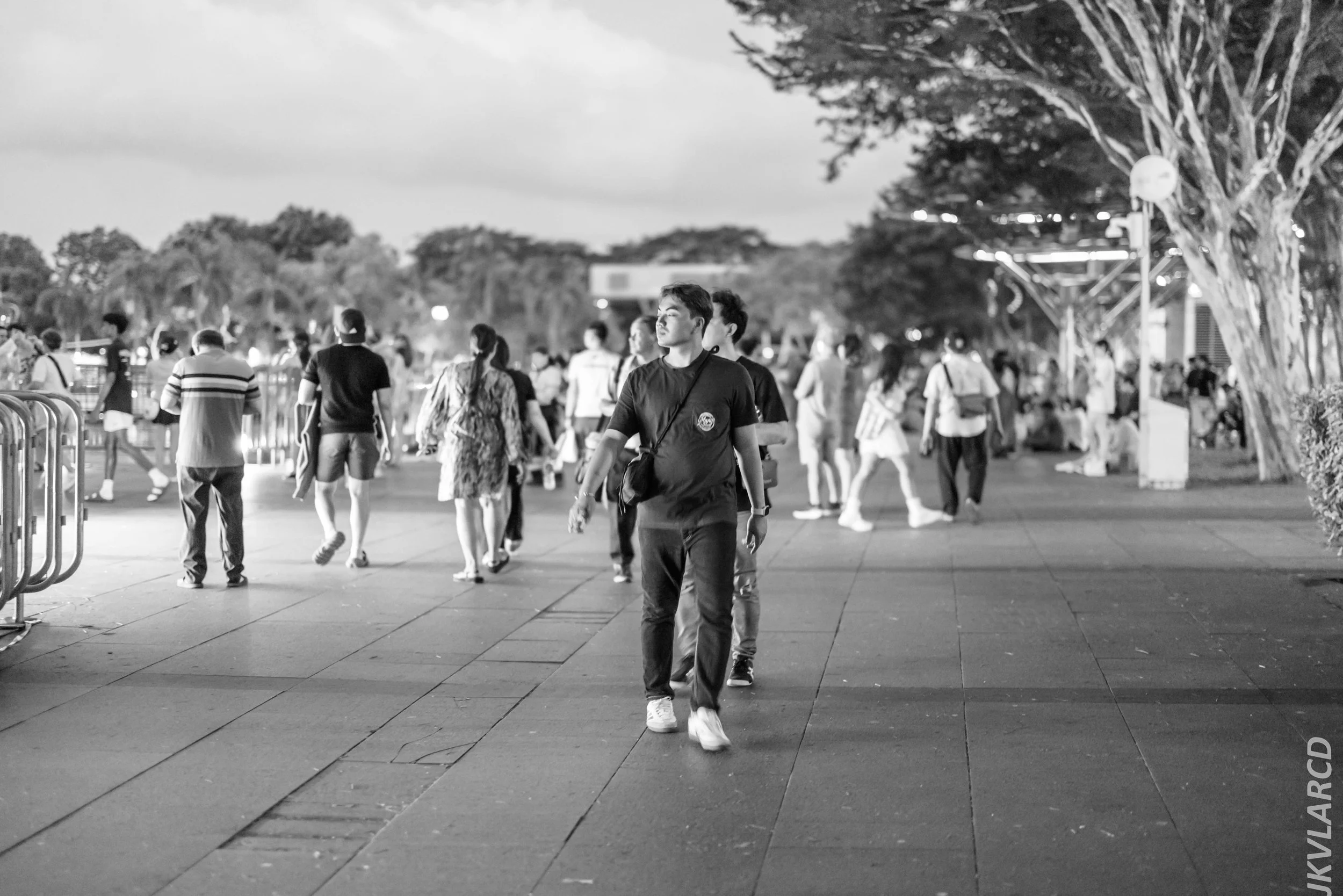 EOS R5_2024_07_27_0013.jpg