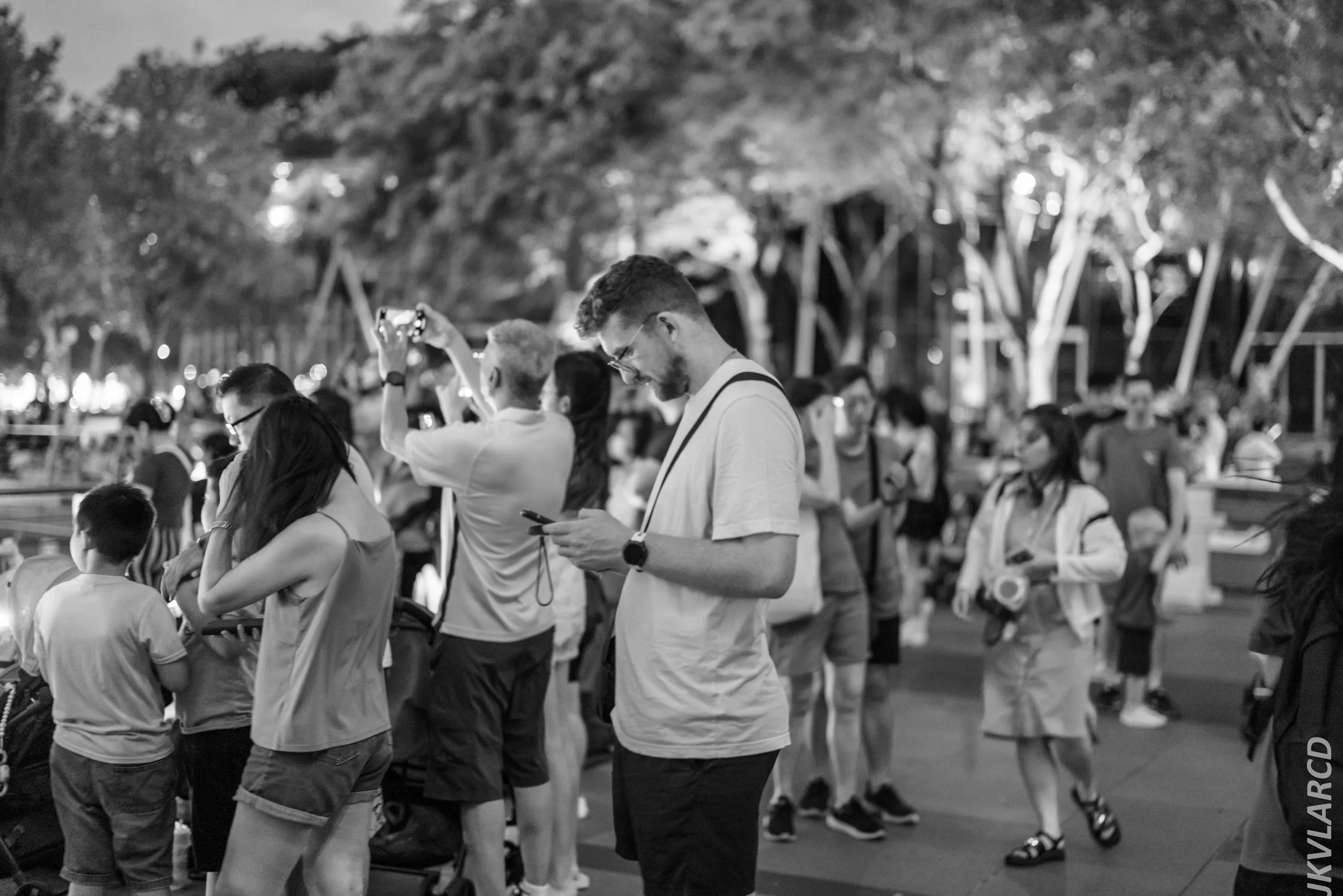 EOS R5_2024_07_27_0033.jpg