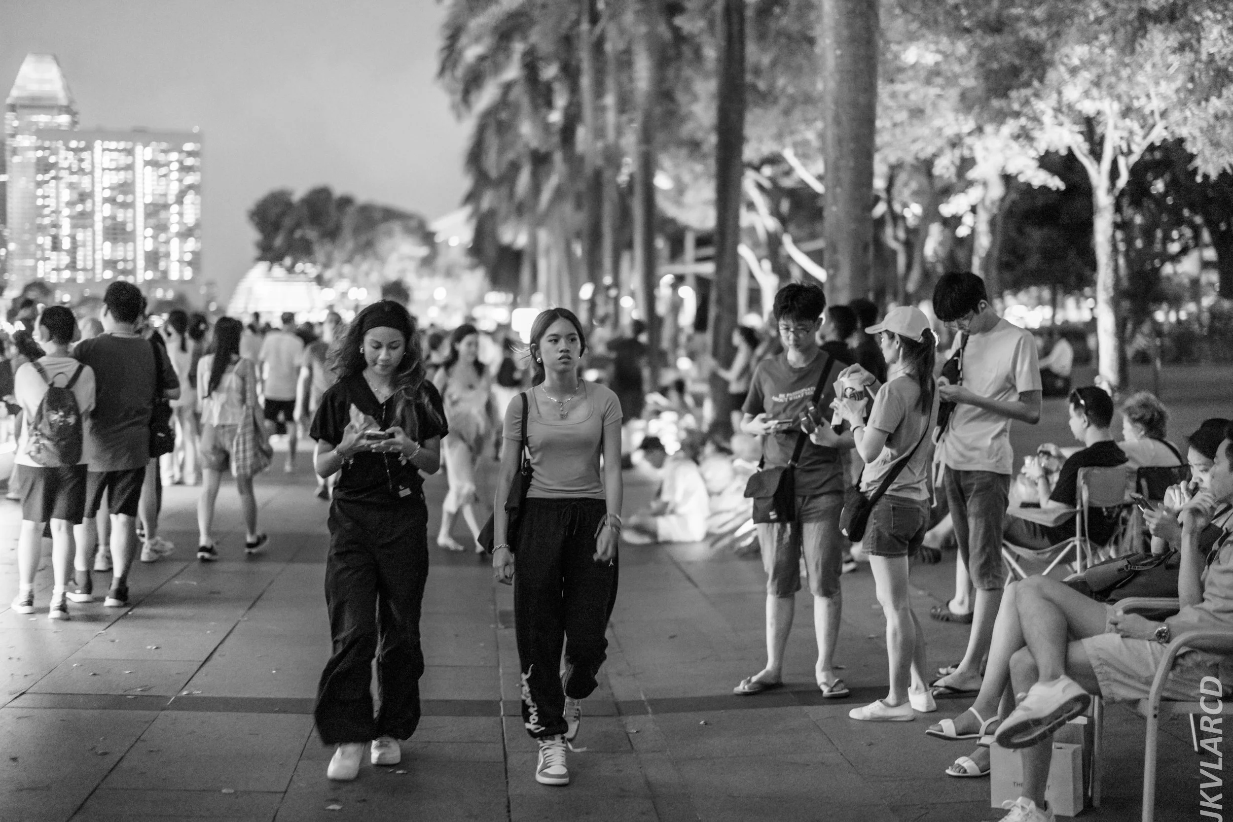 EOS R5_2024_07_27_0037.jpg