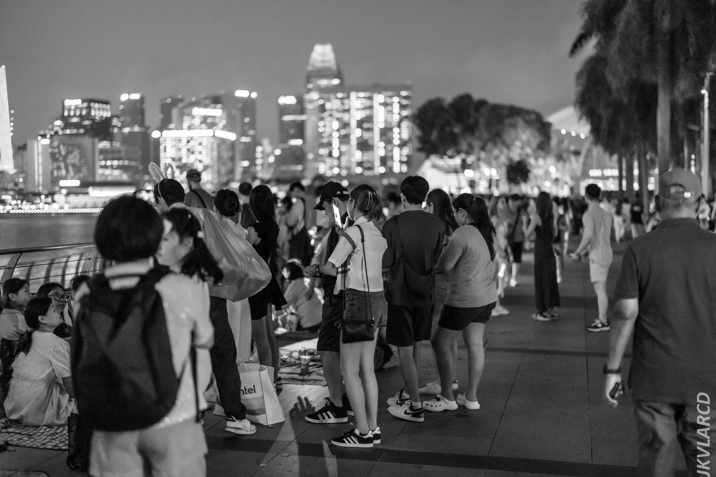 EOS R5_2024_07_27_0043.jpg