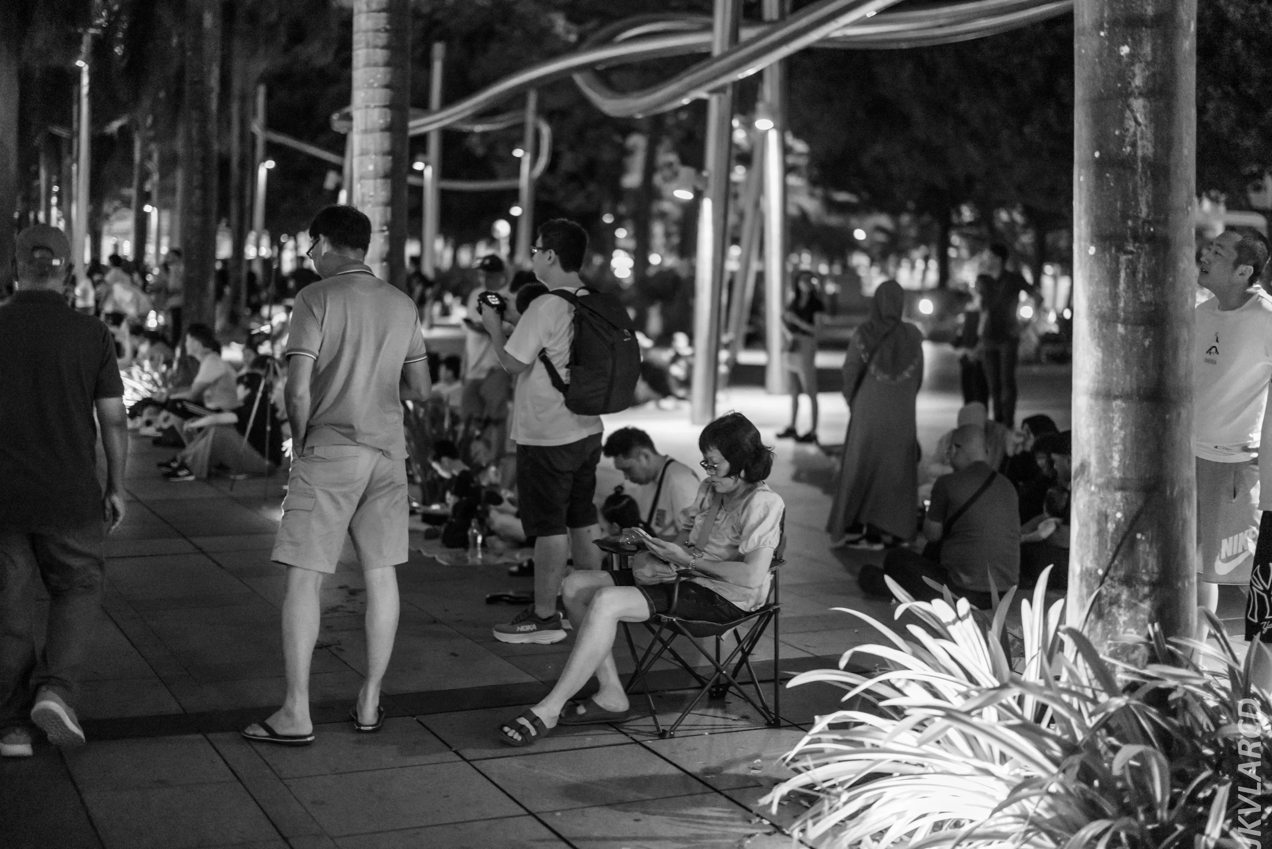 EOS R5_2024_07_27_0044.jpg