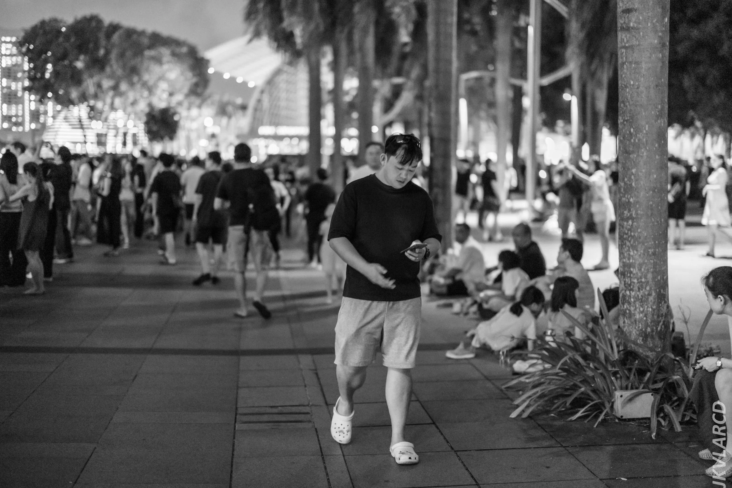 EOS R5_2024_07_27_0047.jpg