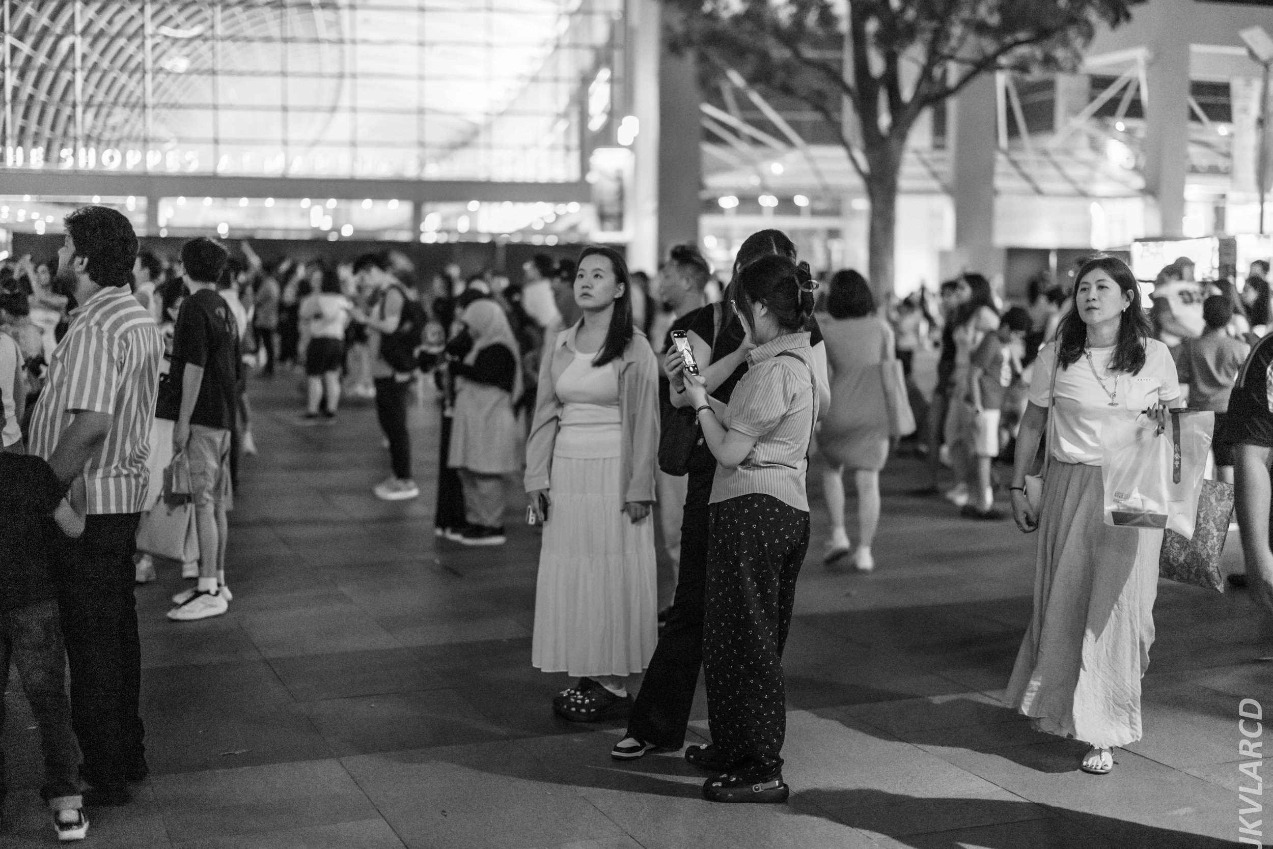 EOS R5_2024_07_27_0056.jpg