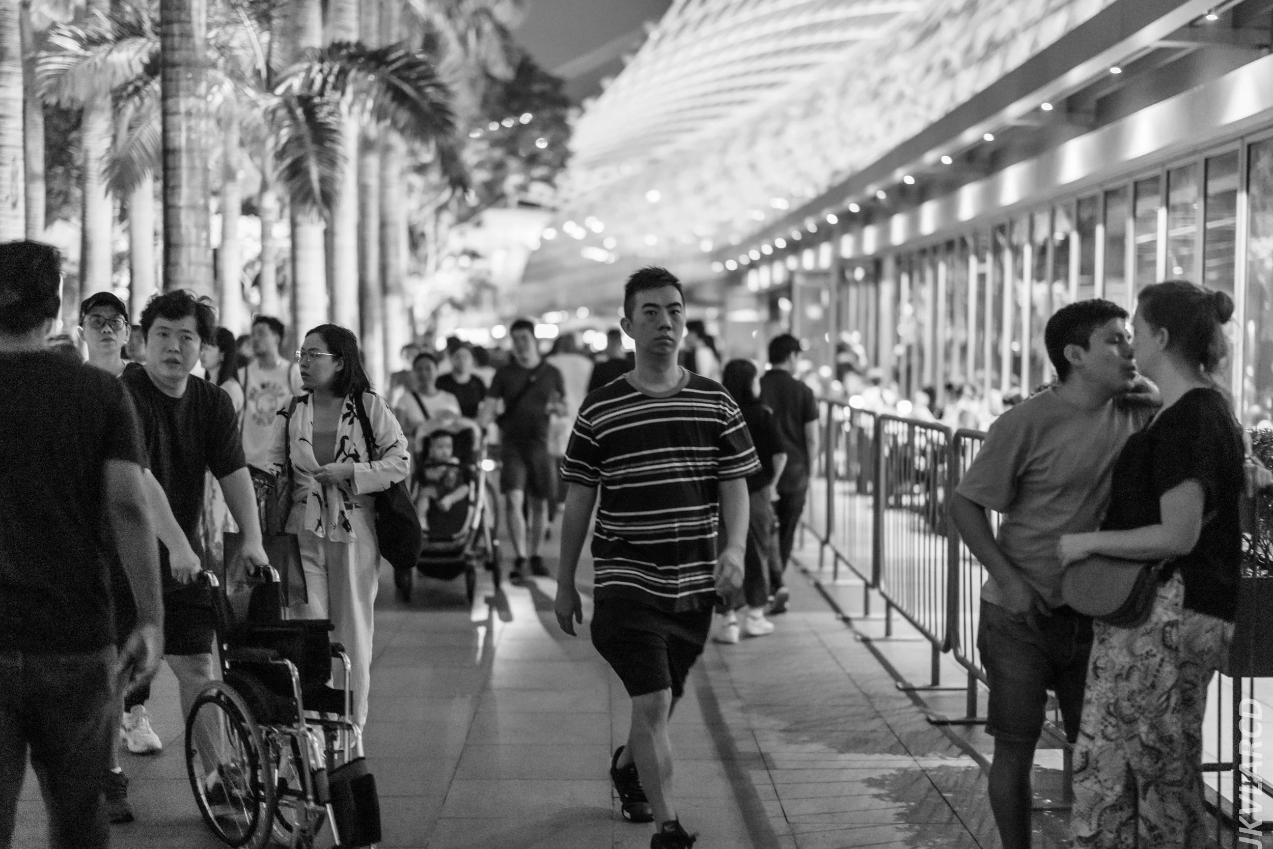 EOS R5_2024_07_27_0064.jpg