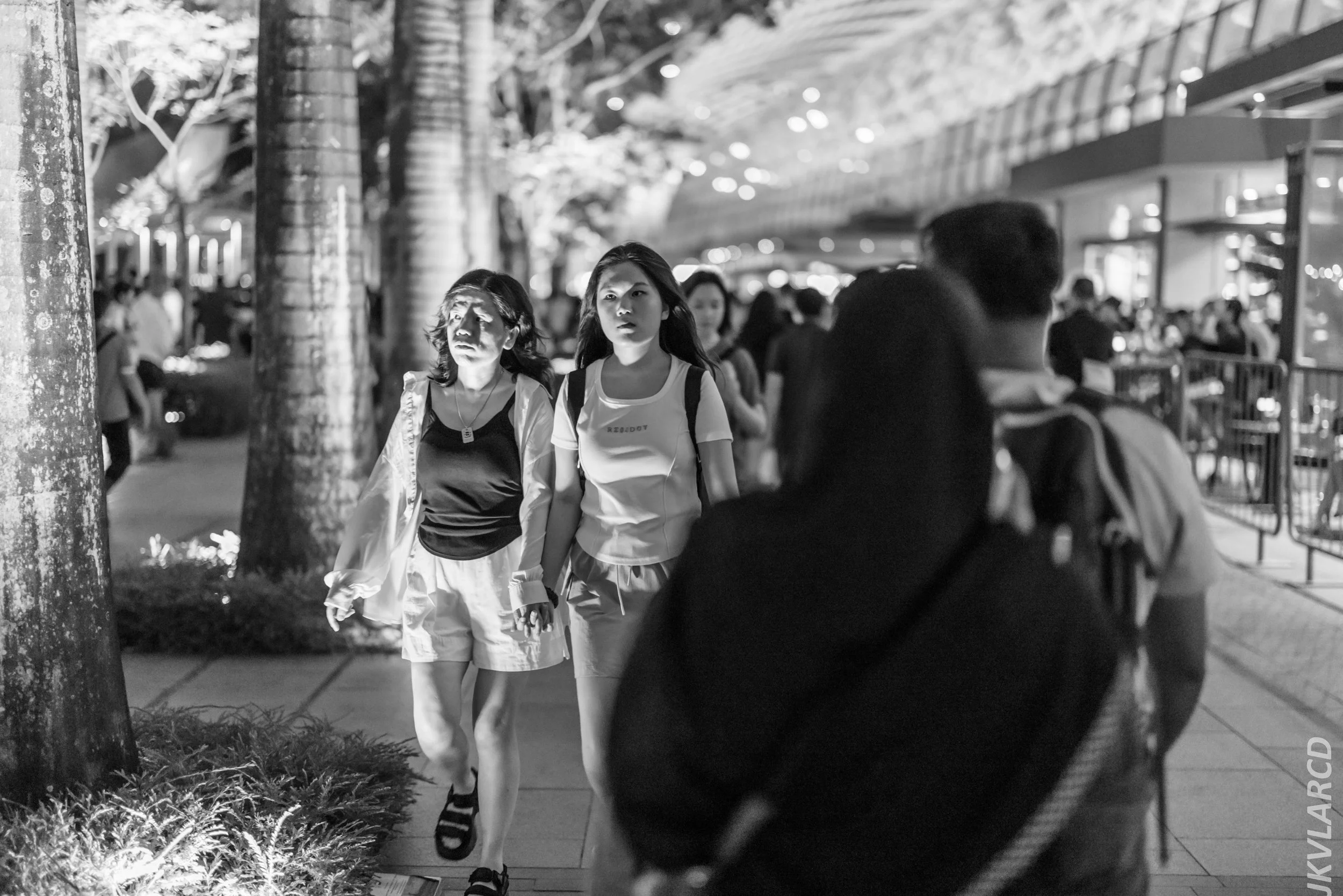 EOS R5_2024_07_27_0067.jpg