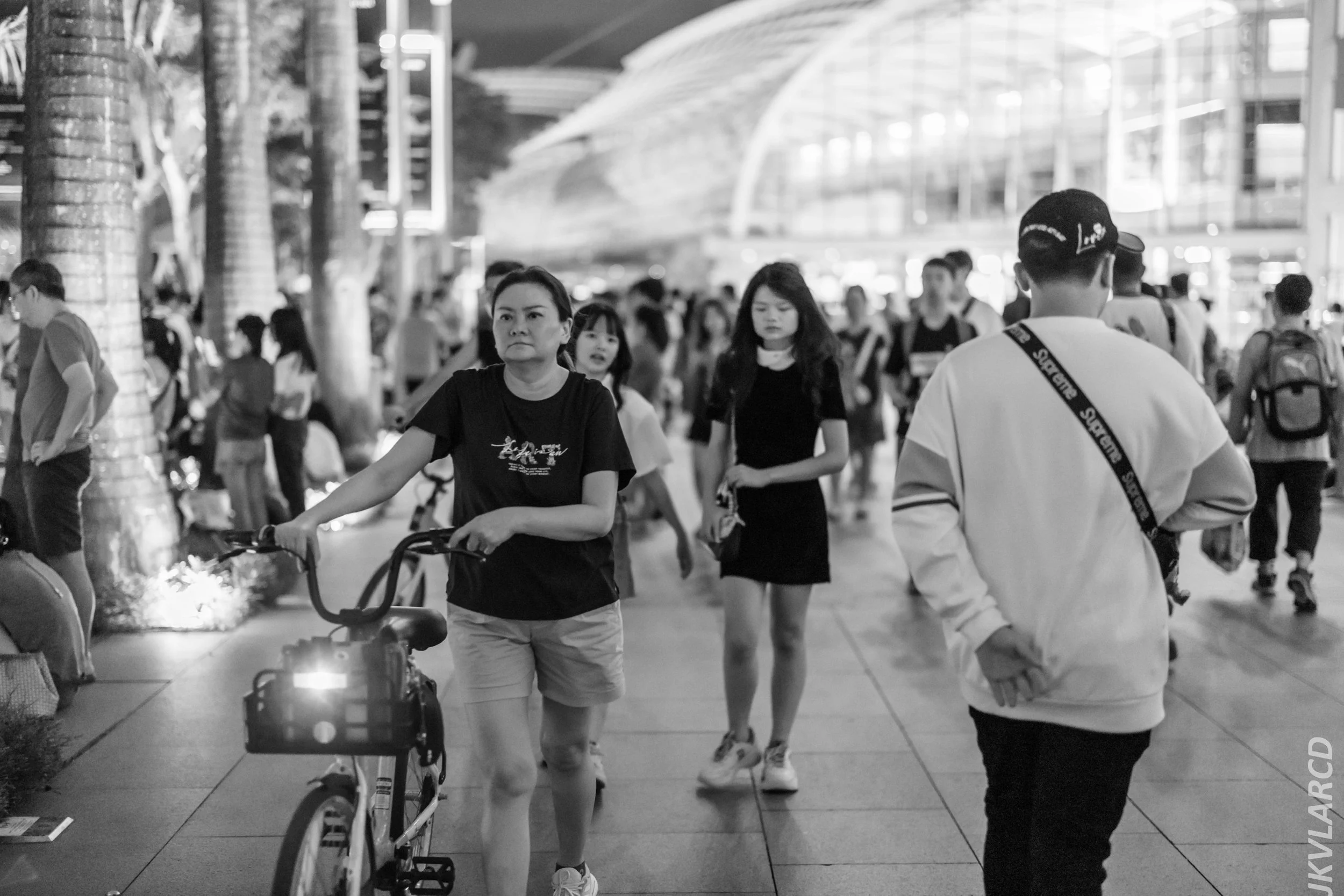 EOS R5_2024_07_27_0082.jpg