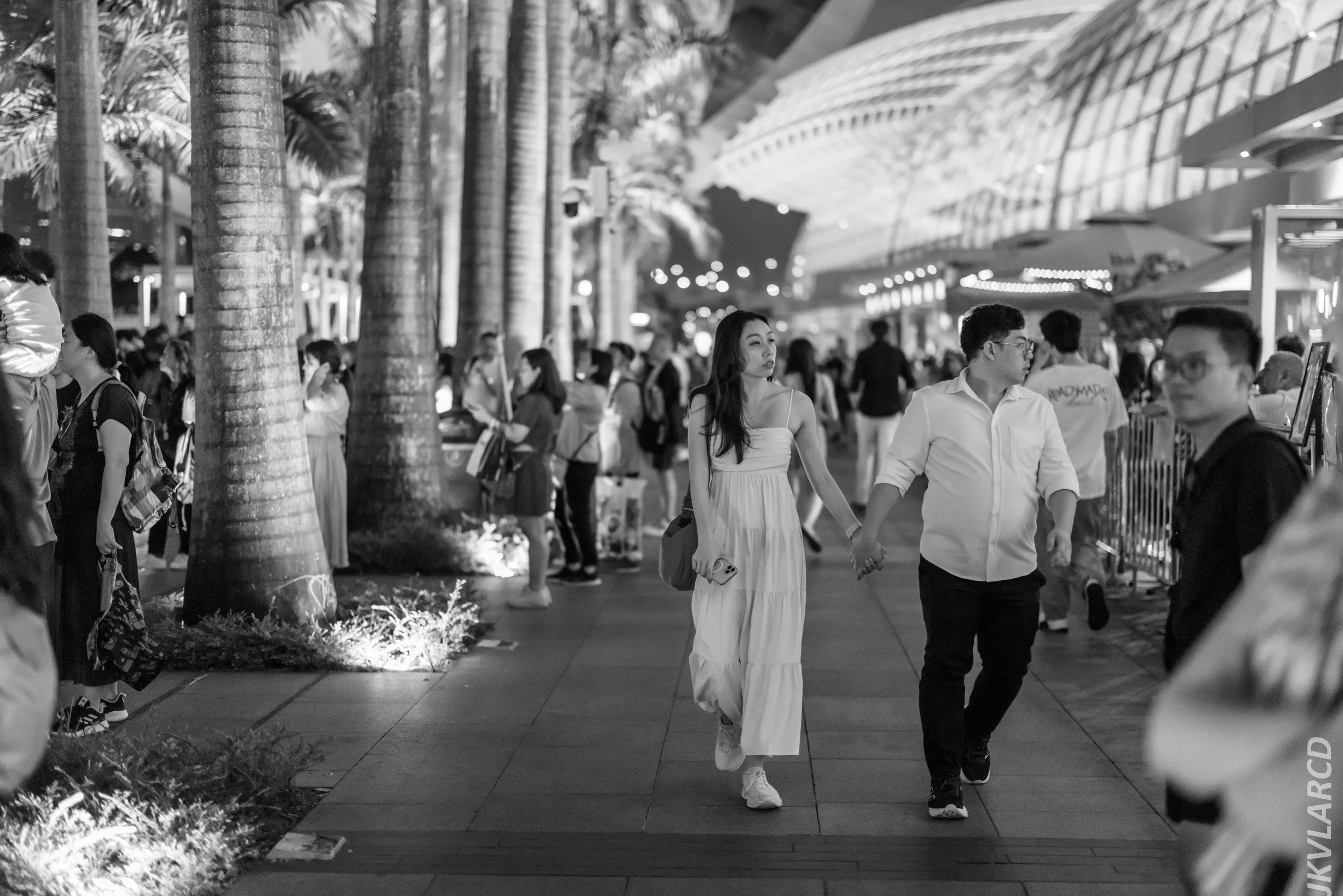 EOS R5_2024_07_27_0098.jpg