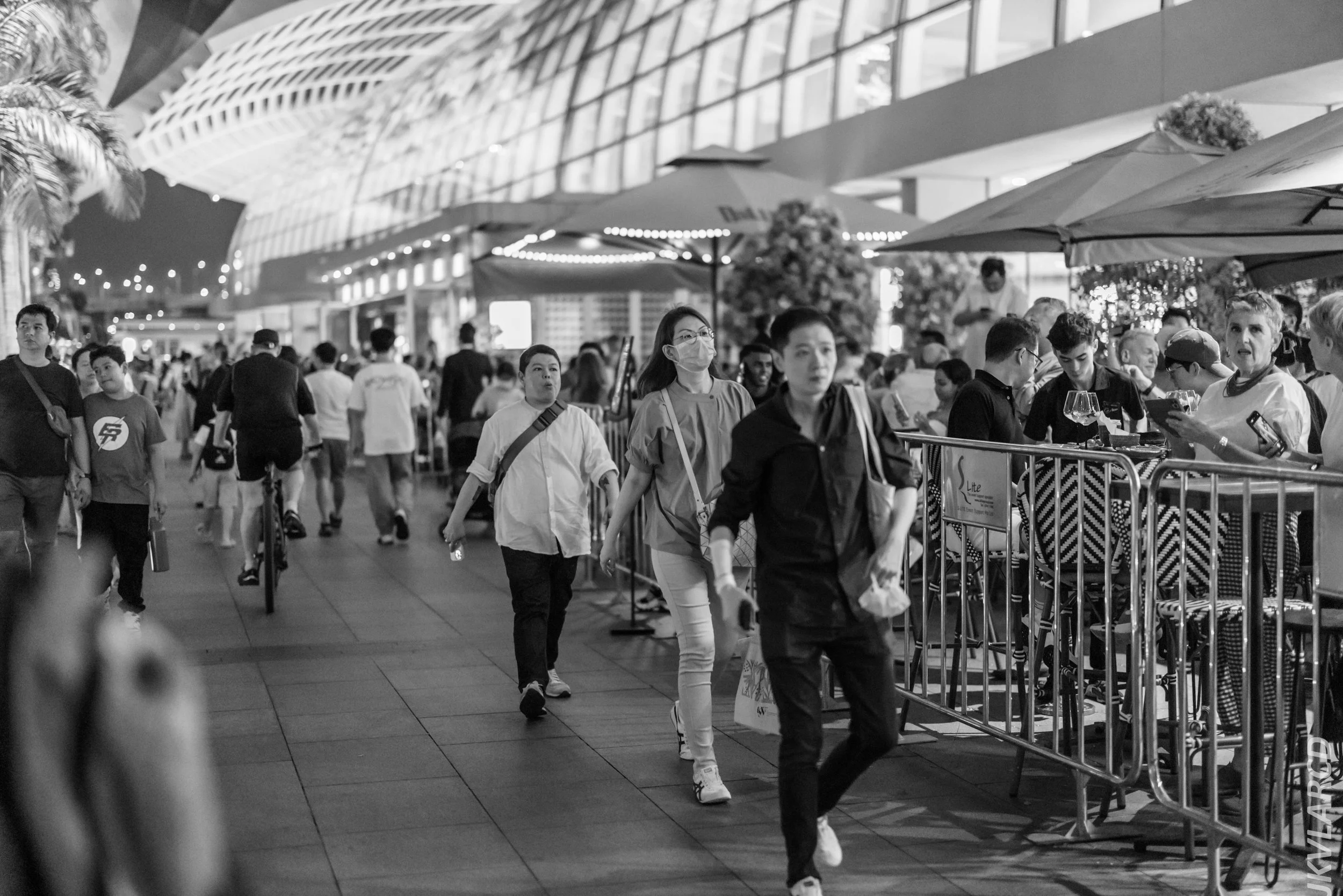 EOS R5_2024_07_27_0099.jpg