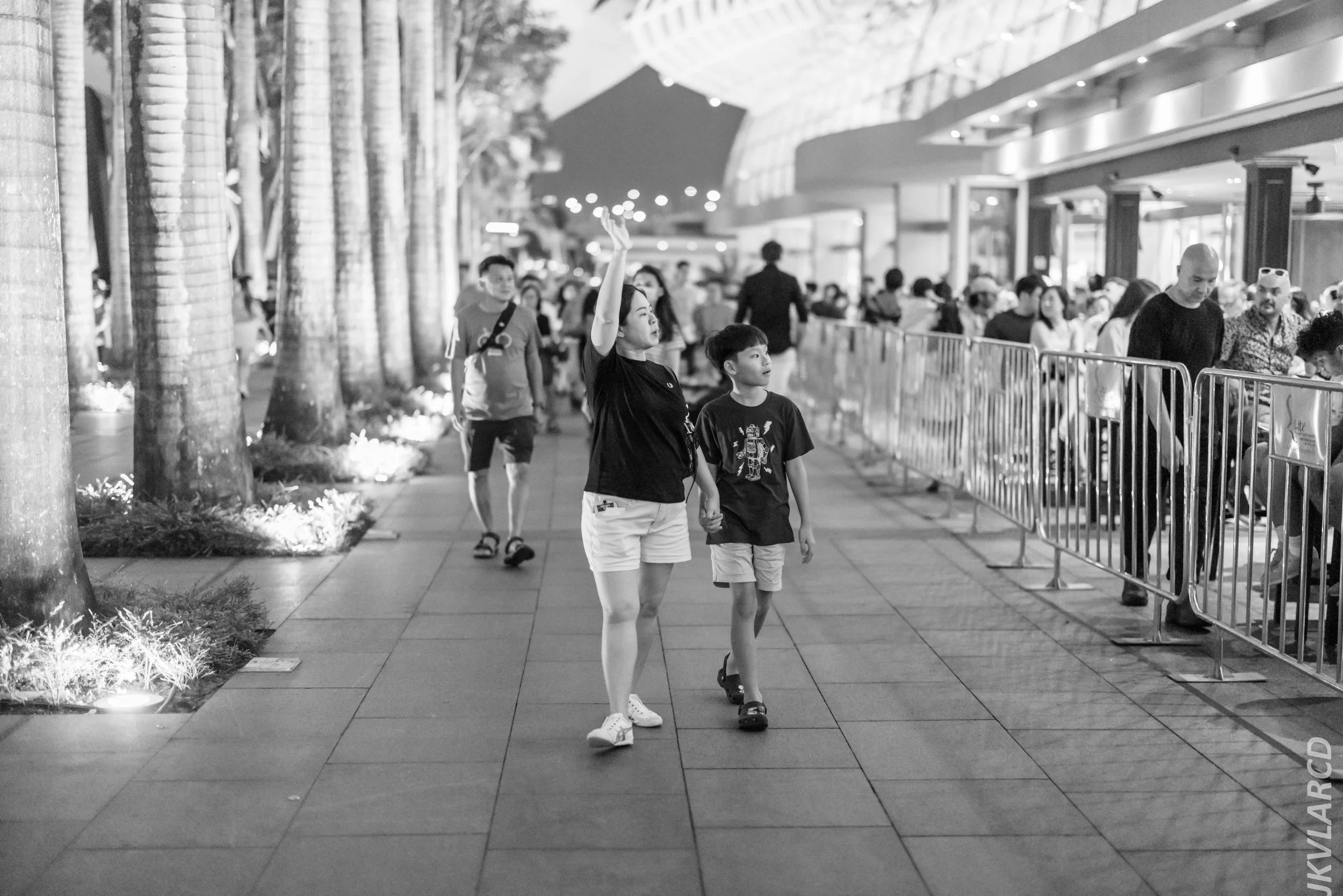 EOS R5_2024_07_27_0103.jpg