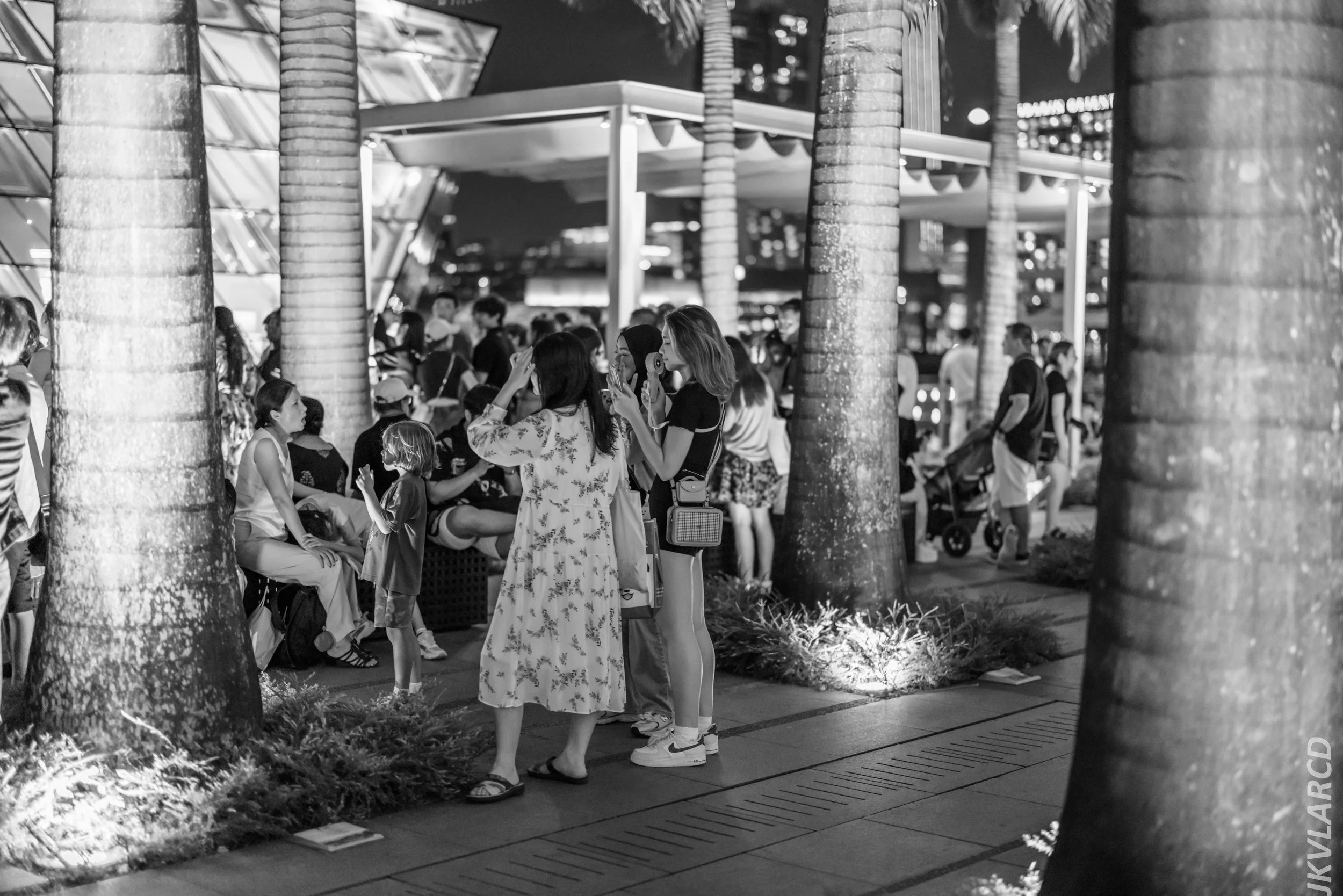 EOS R5_2024_07_27_0104.jpg