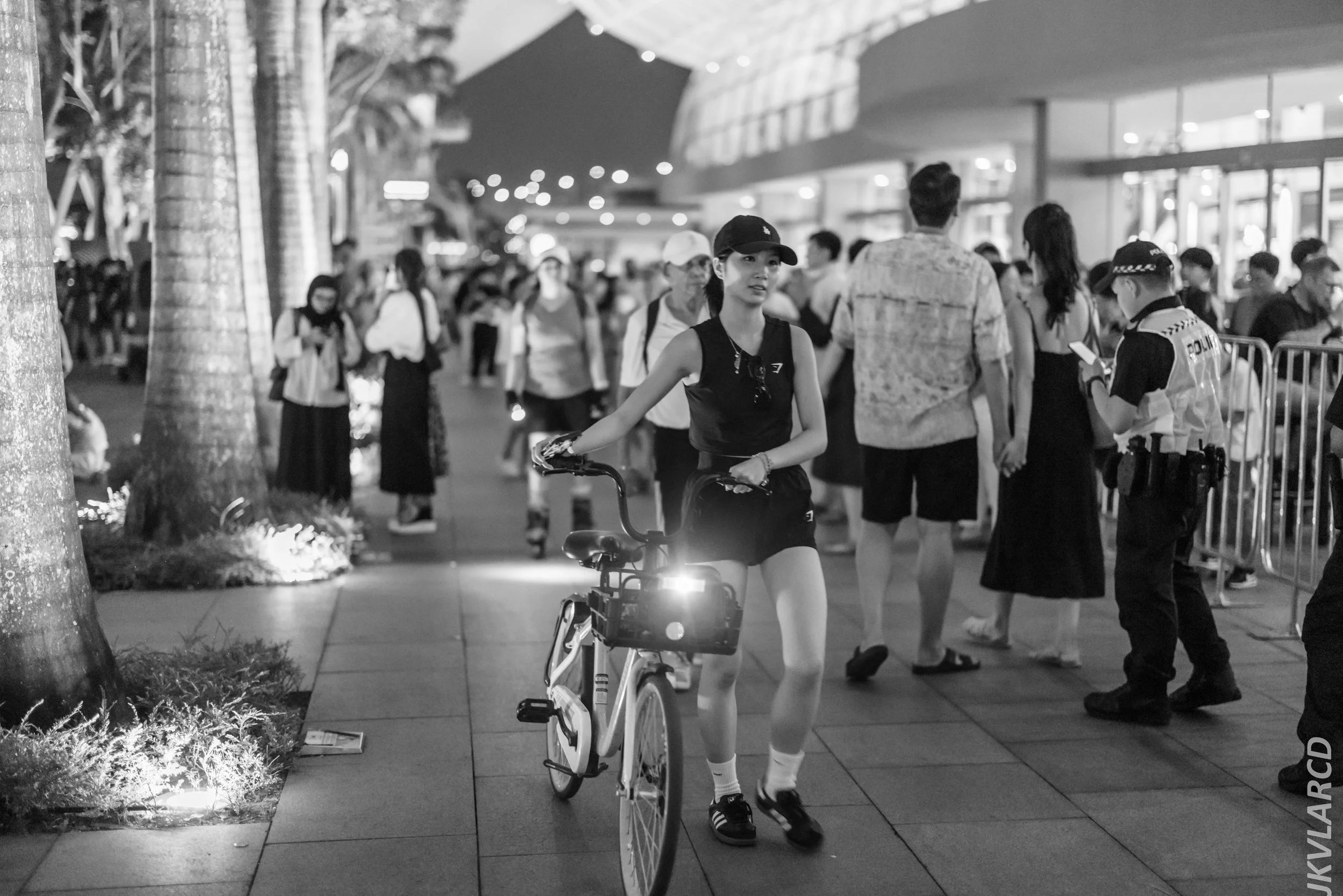 EOS R5_2024_07_27_0107.jpg