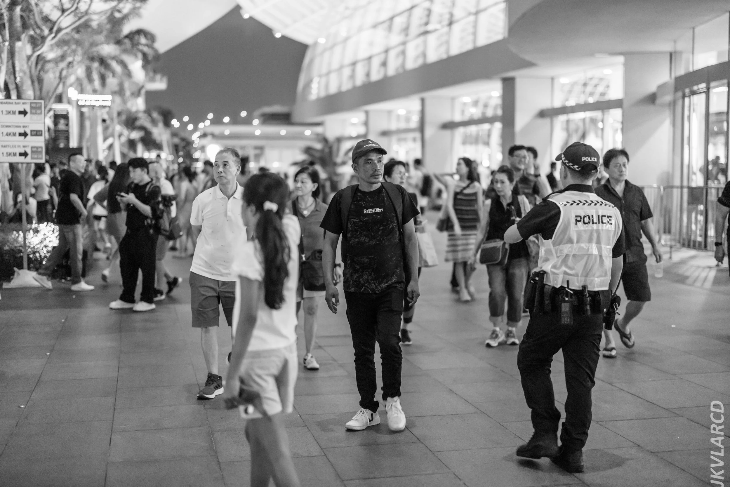 EOS R5_2024_07_27_0109.jpg