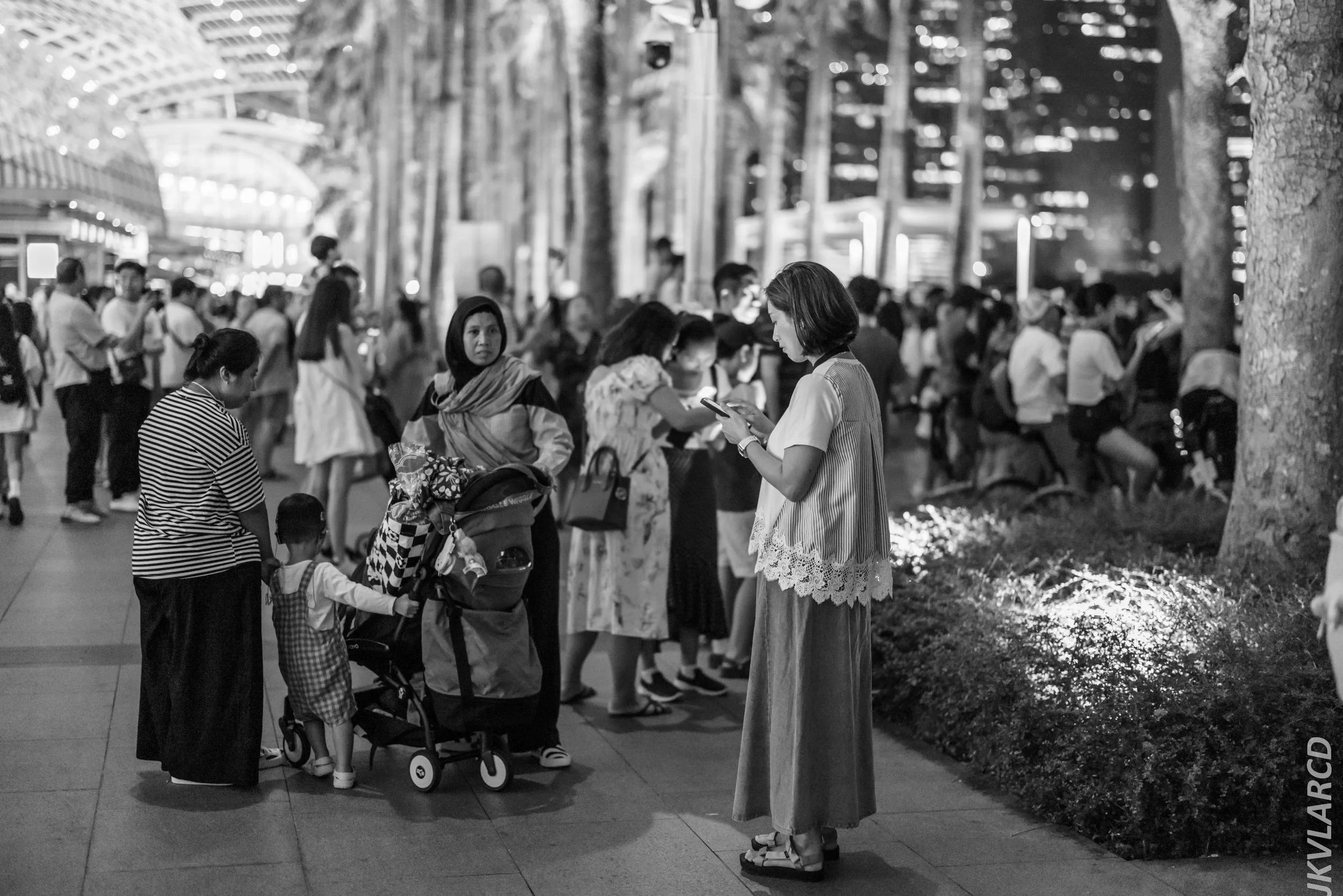 EOS R5_2024_07_27_0121.jpg