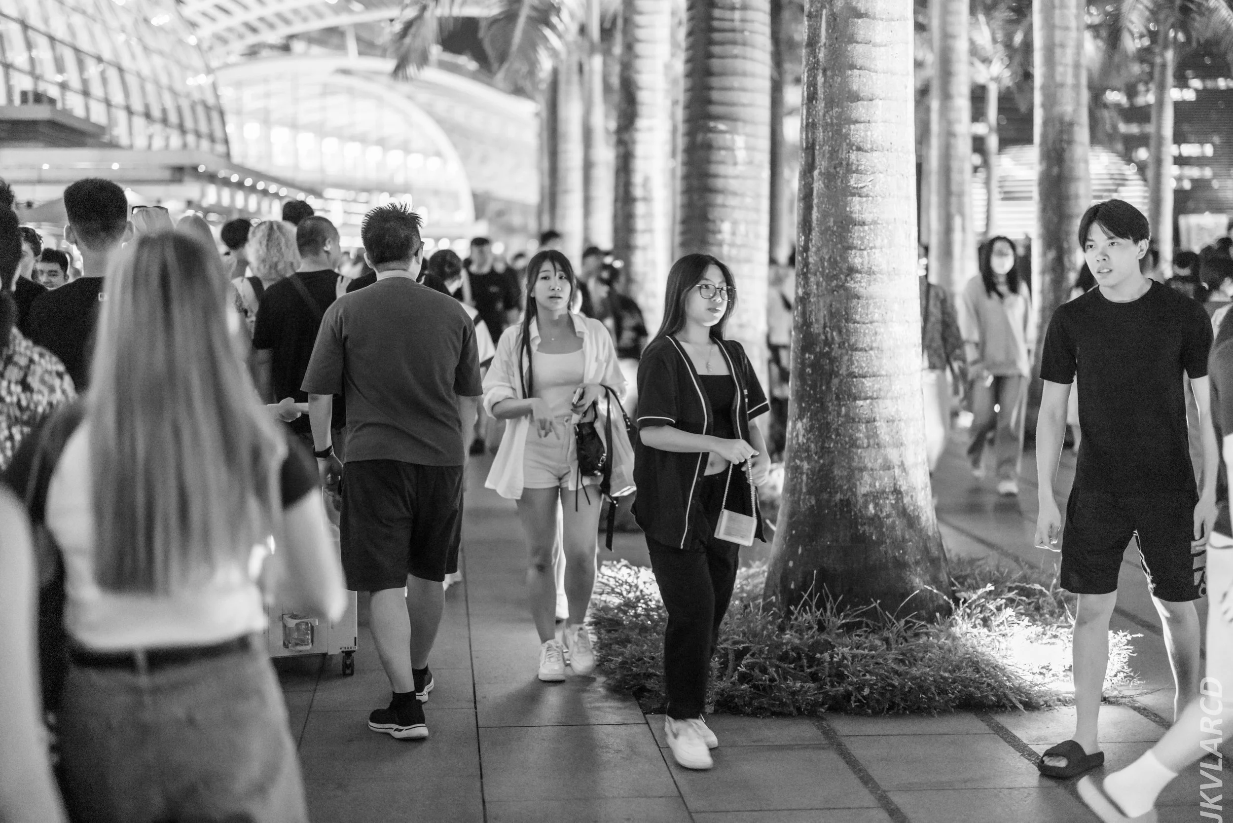 EOS R5_2024_07_27_0122.jpg