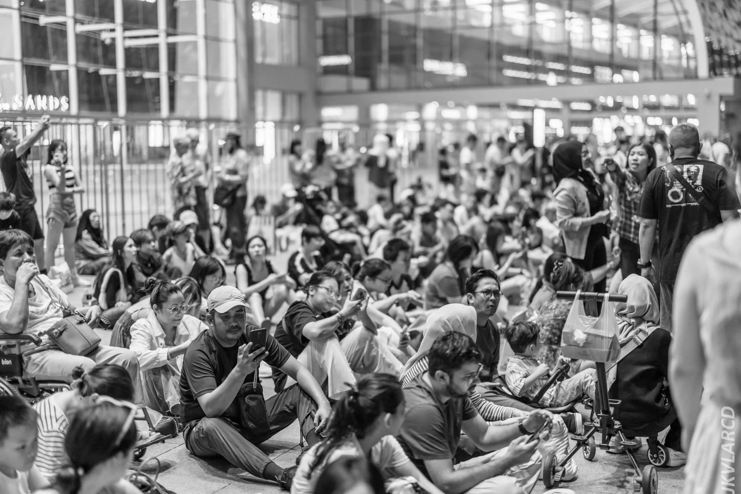 EOS R5_2024_07_27_0128.jpg