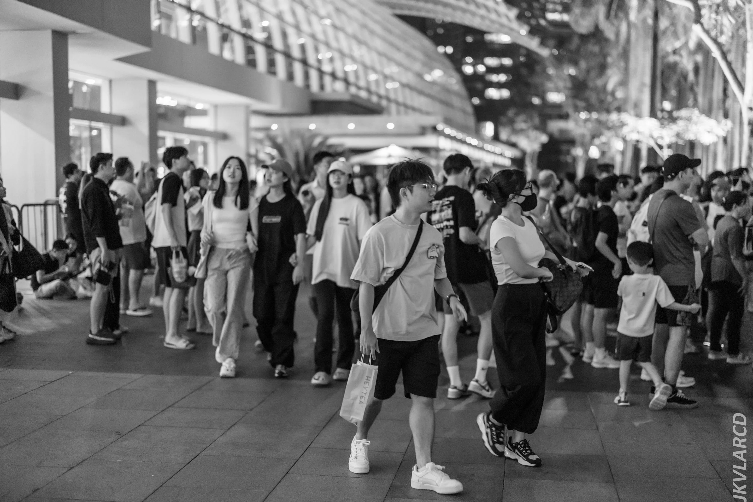 EOS R5_2024_07_27_0139.jpg