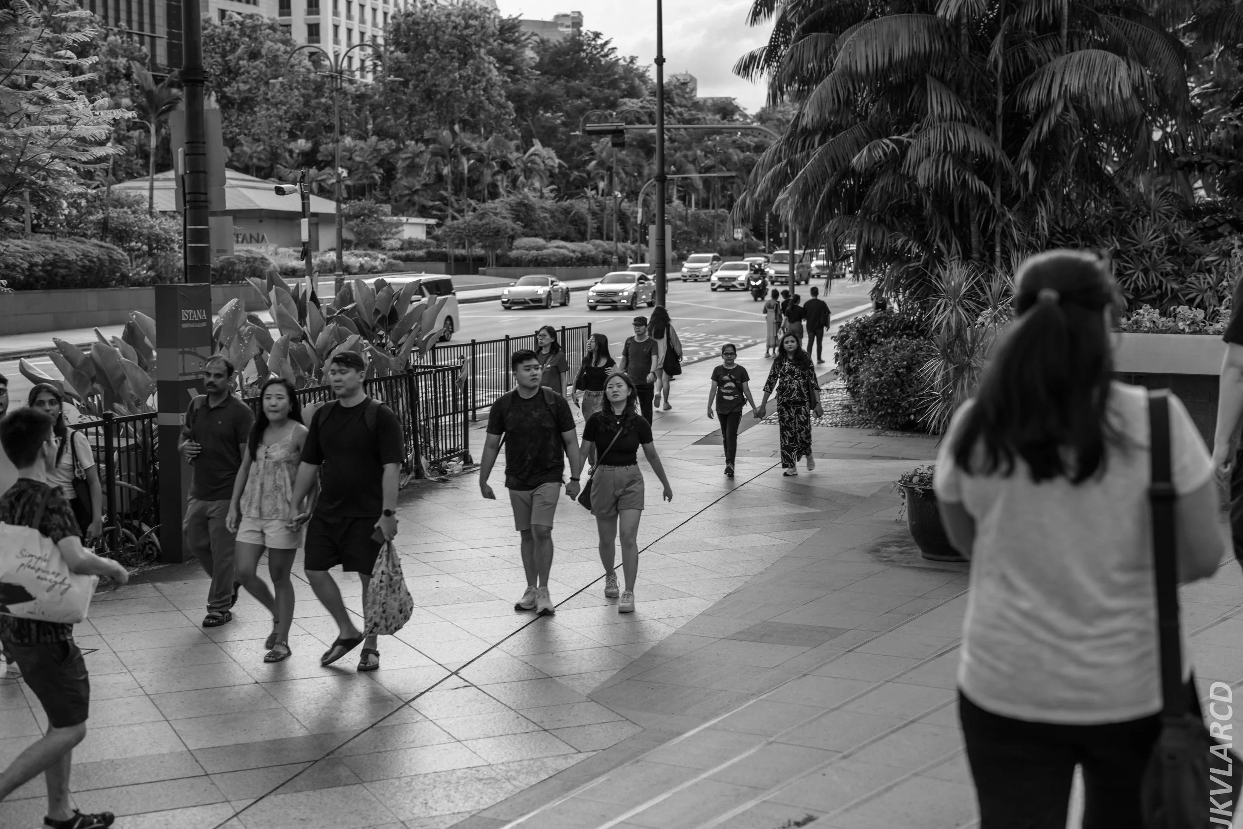 EOS R5_2024_08_03_0001.jpg