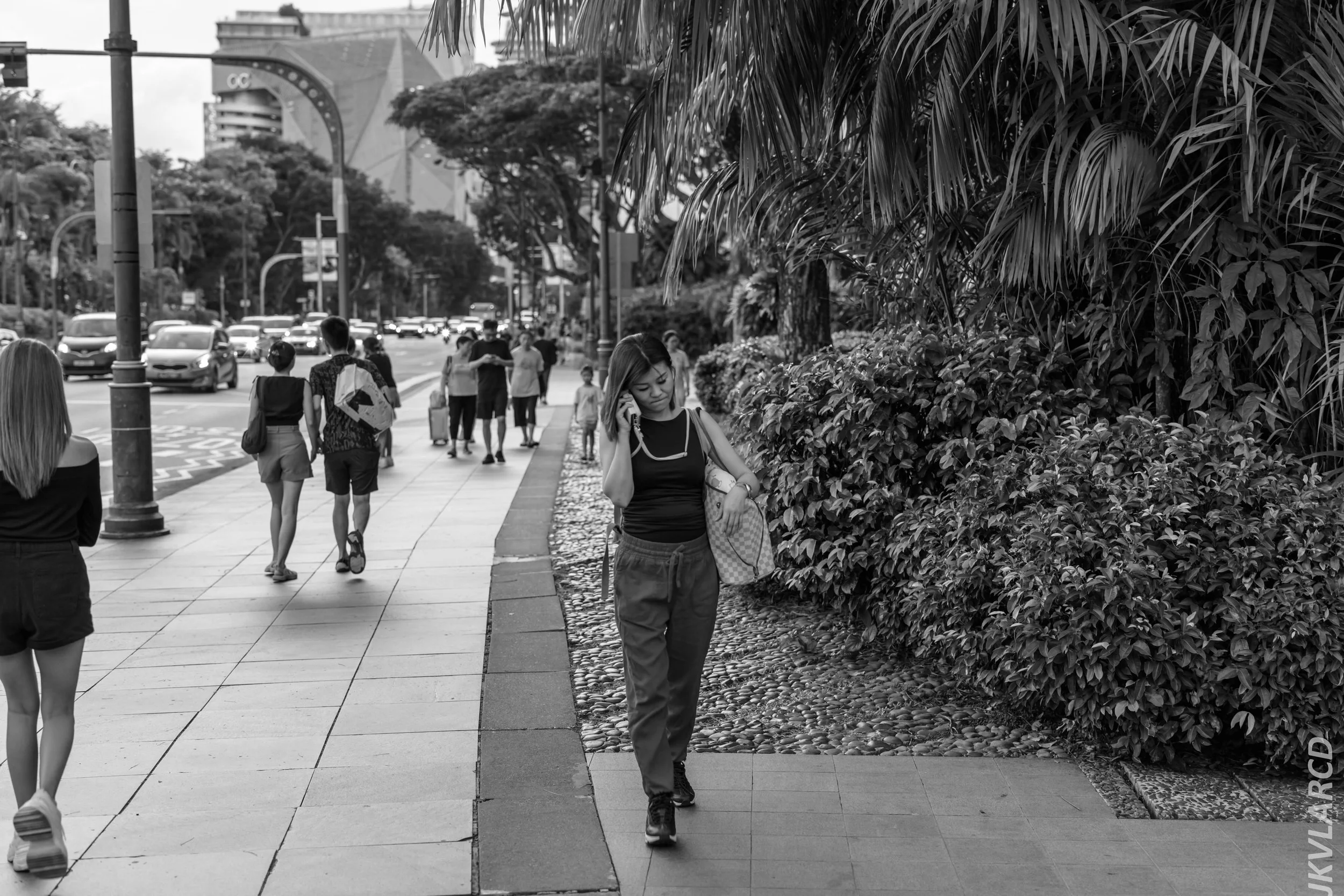 EOS R5_2024_08_03_0002.jpg