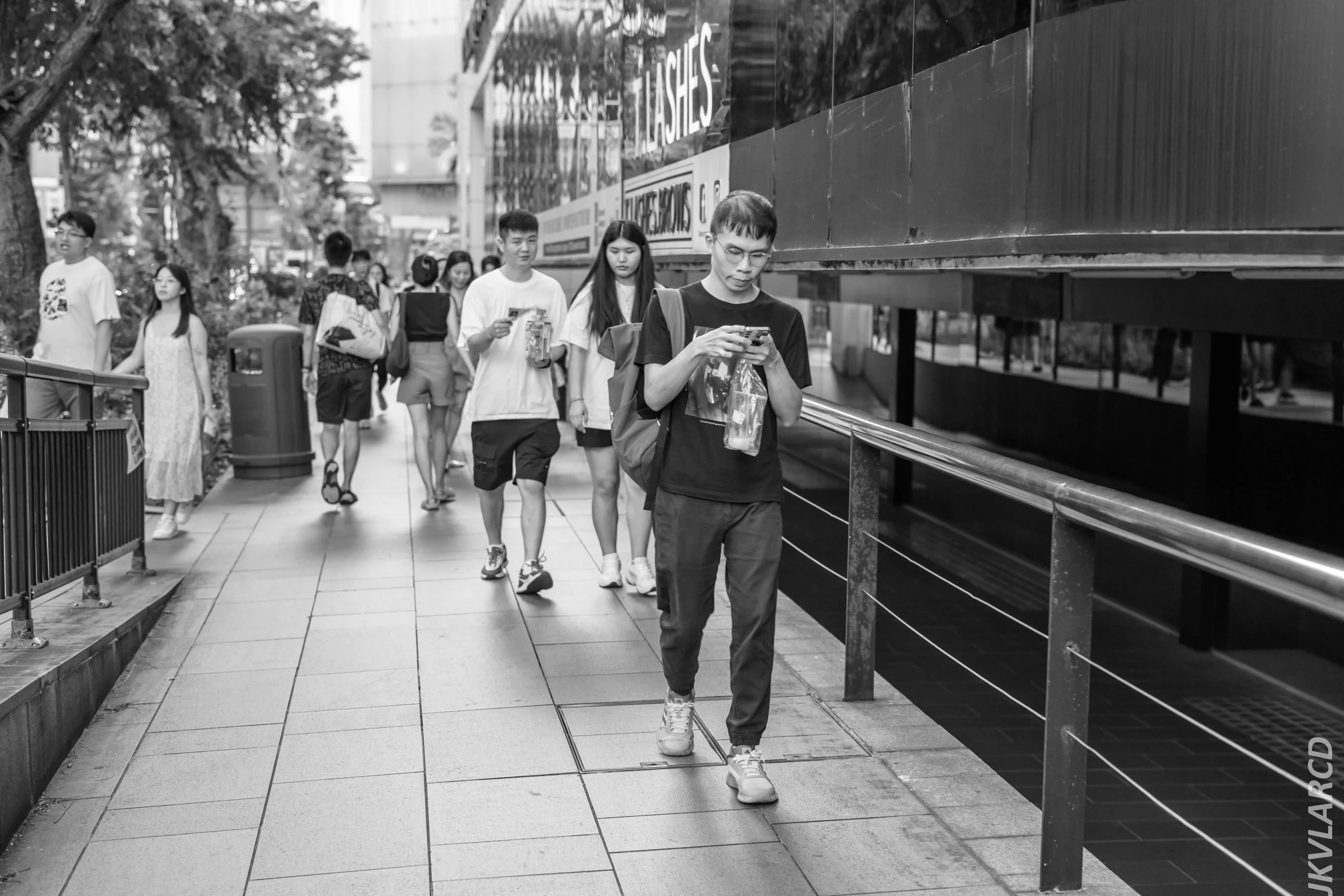 EOS R5_2024_08_03_0013.jpg