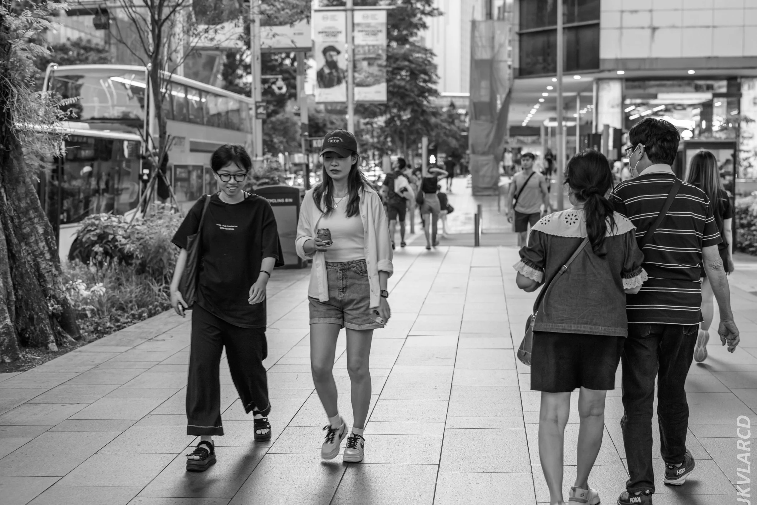 EOS R5_2024_08_03_0020.jpg