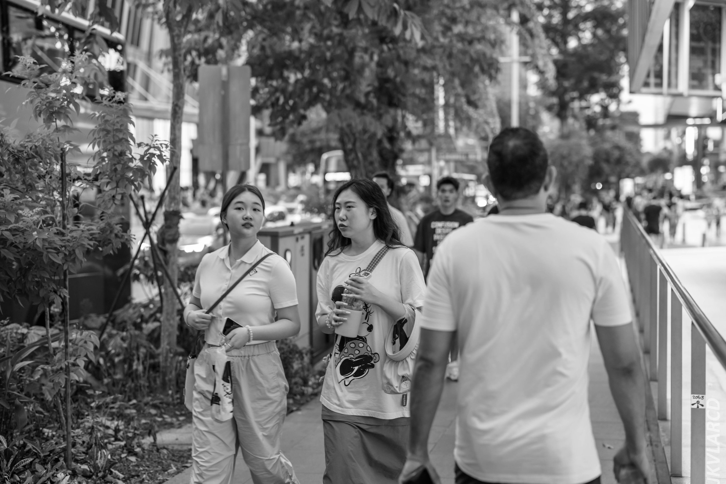 EOS R5_2024_08_03_0034.jpg