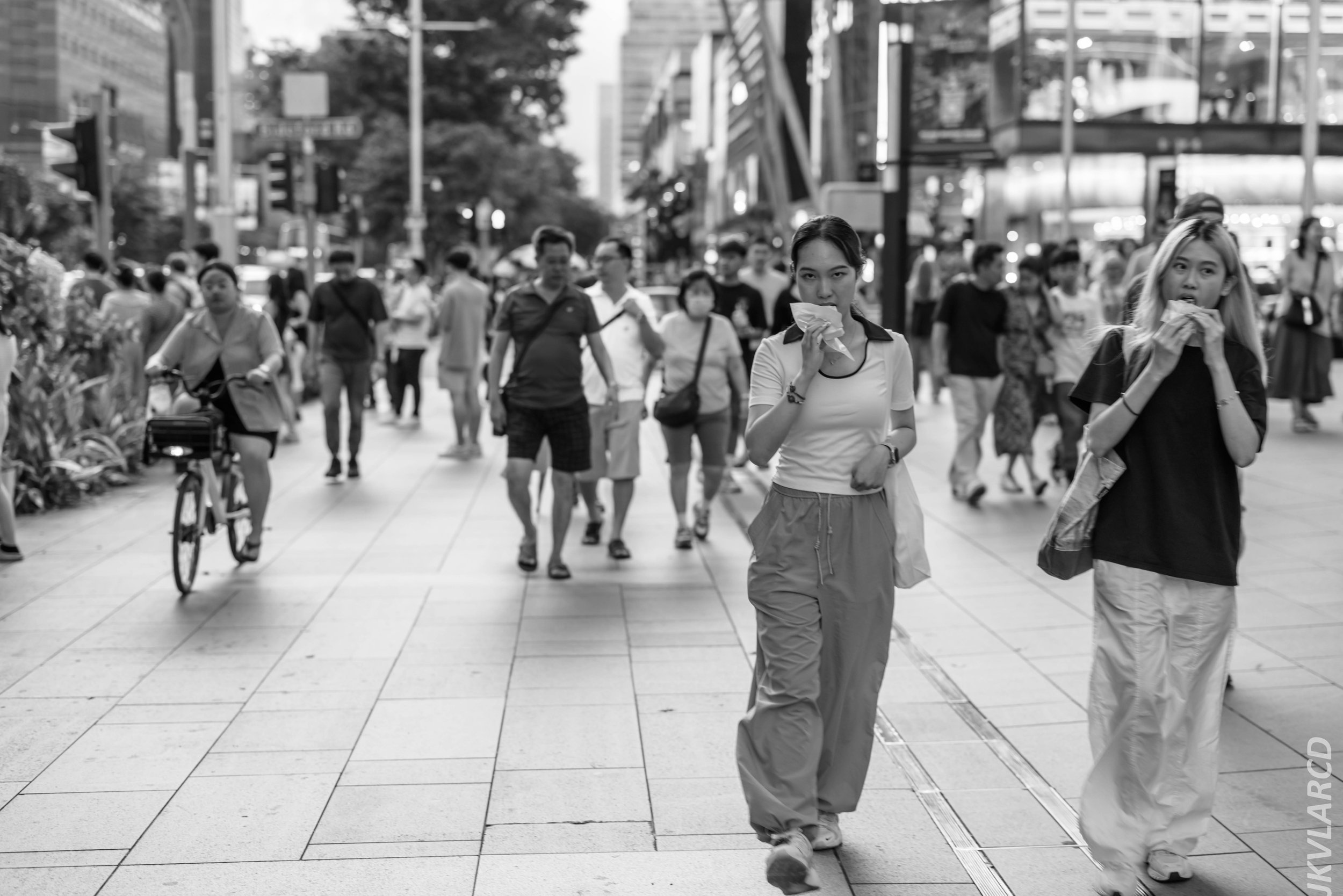 EOS R5_2024_08_03_0050.jpg