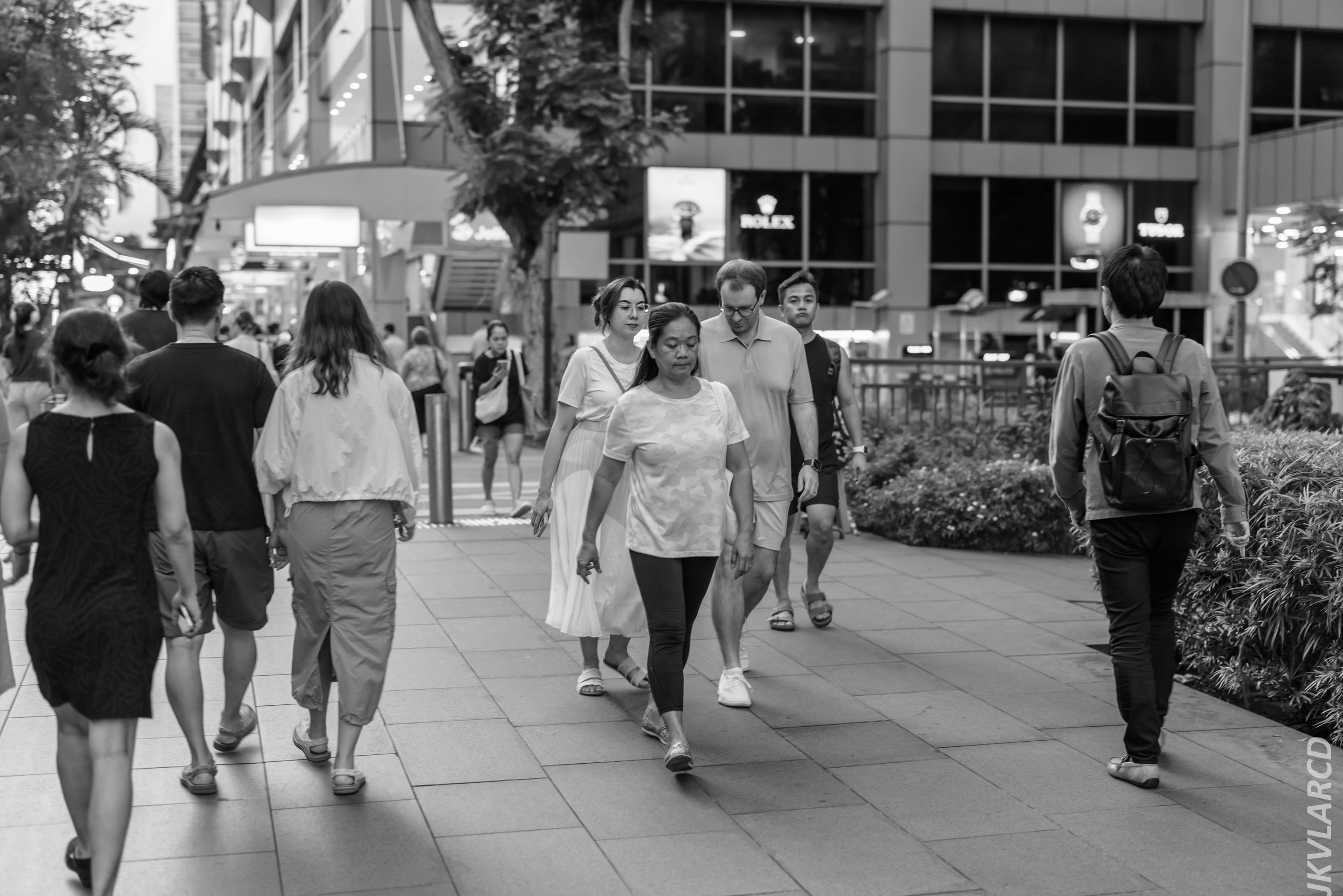 EOS R5_2024_08_03_0060.jpg