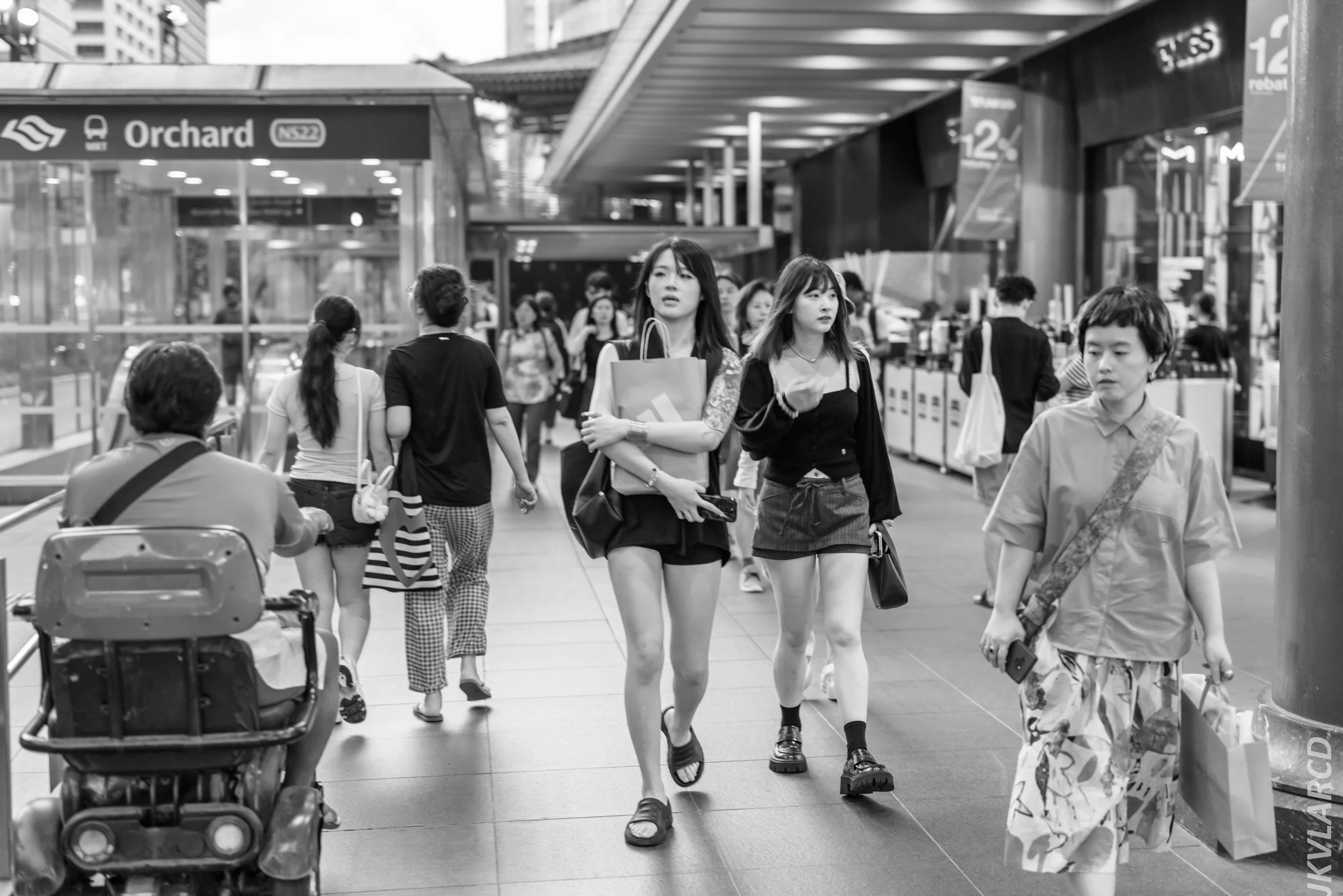 EOS R5_2024_08_03_0080.jpg