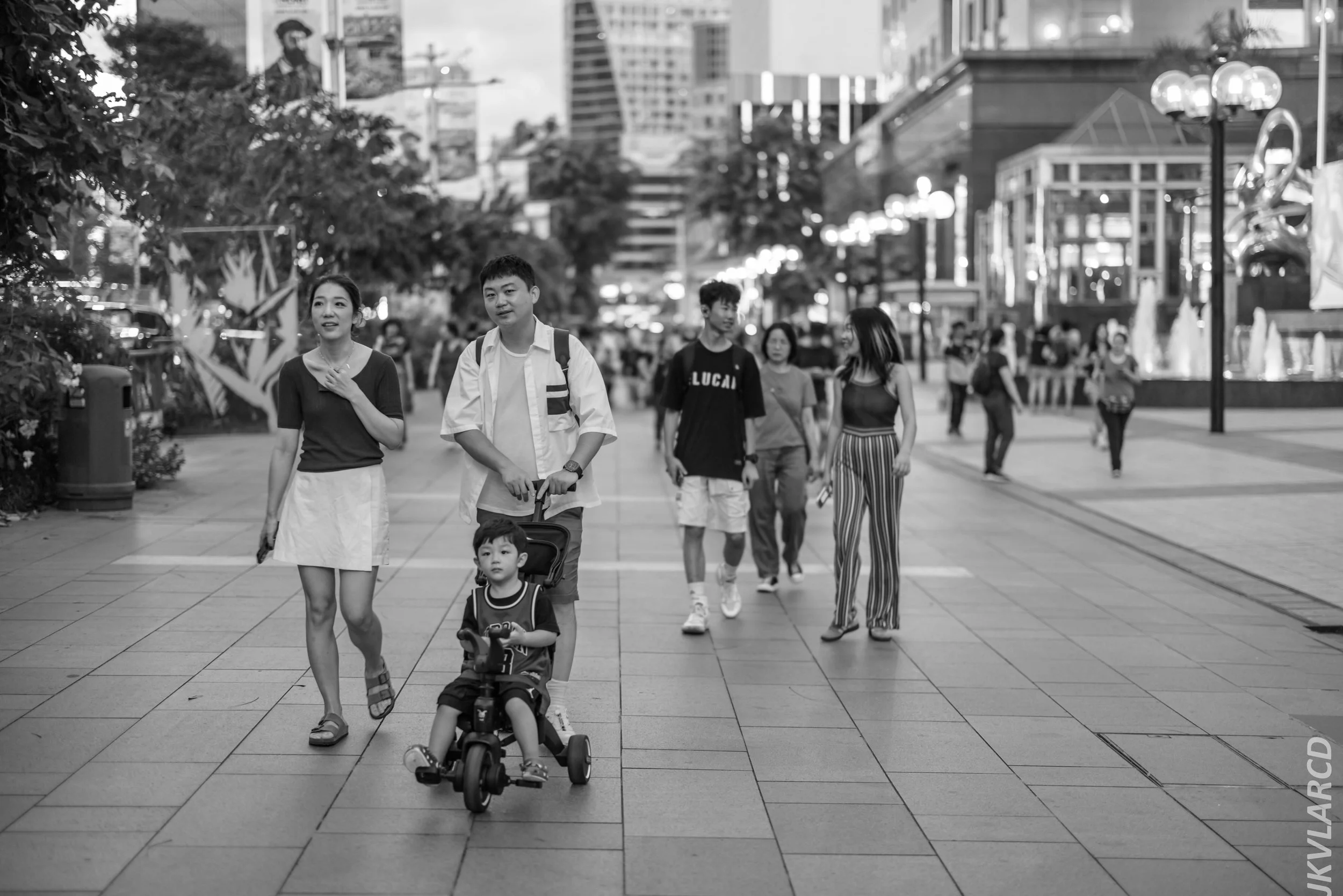 EOS R5_2024_08_03_0102.jpg