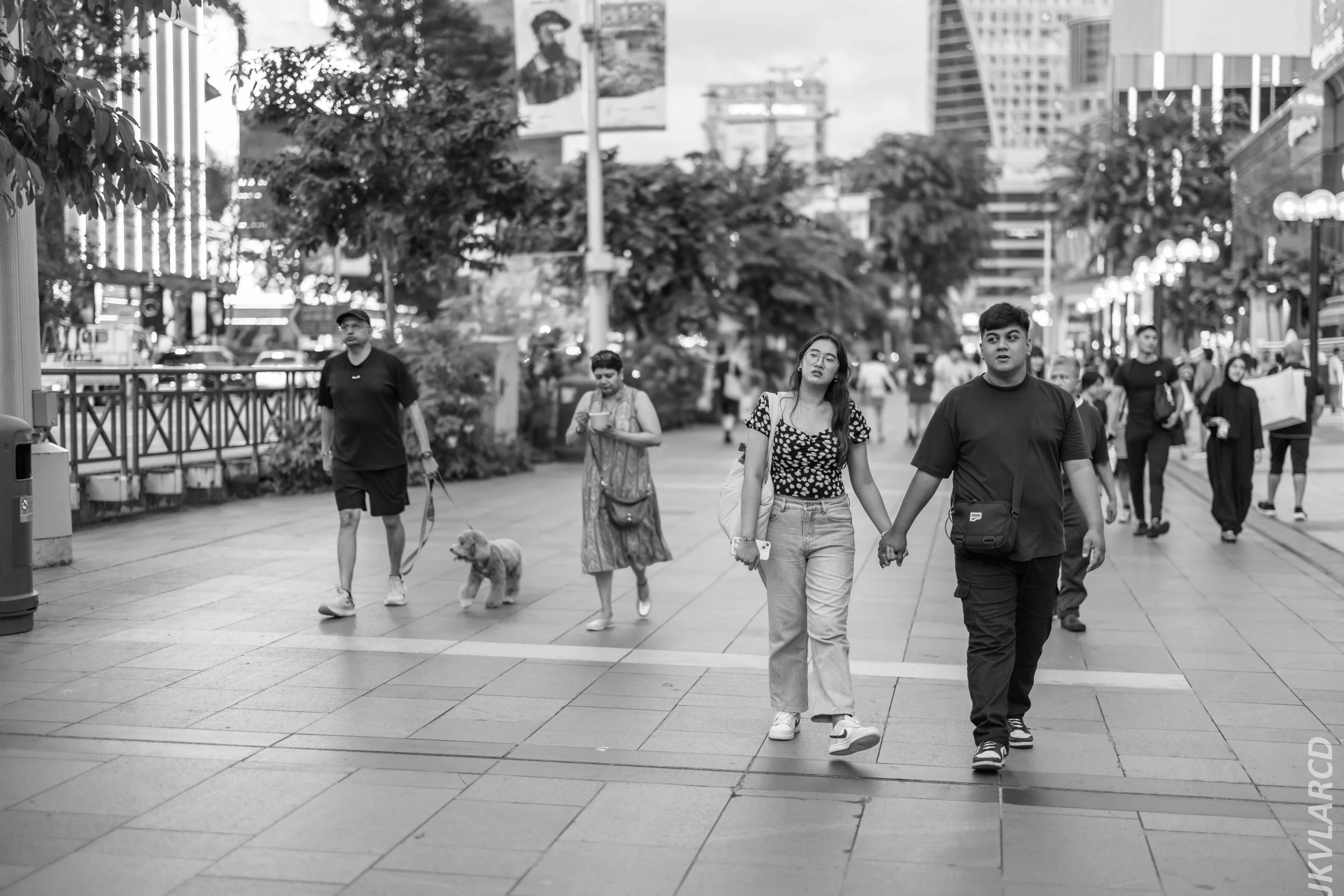 EOS R5_2024_08_03_0104.jpg