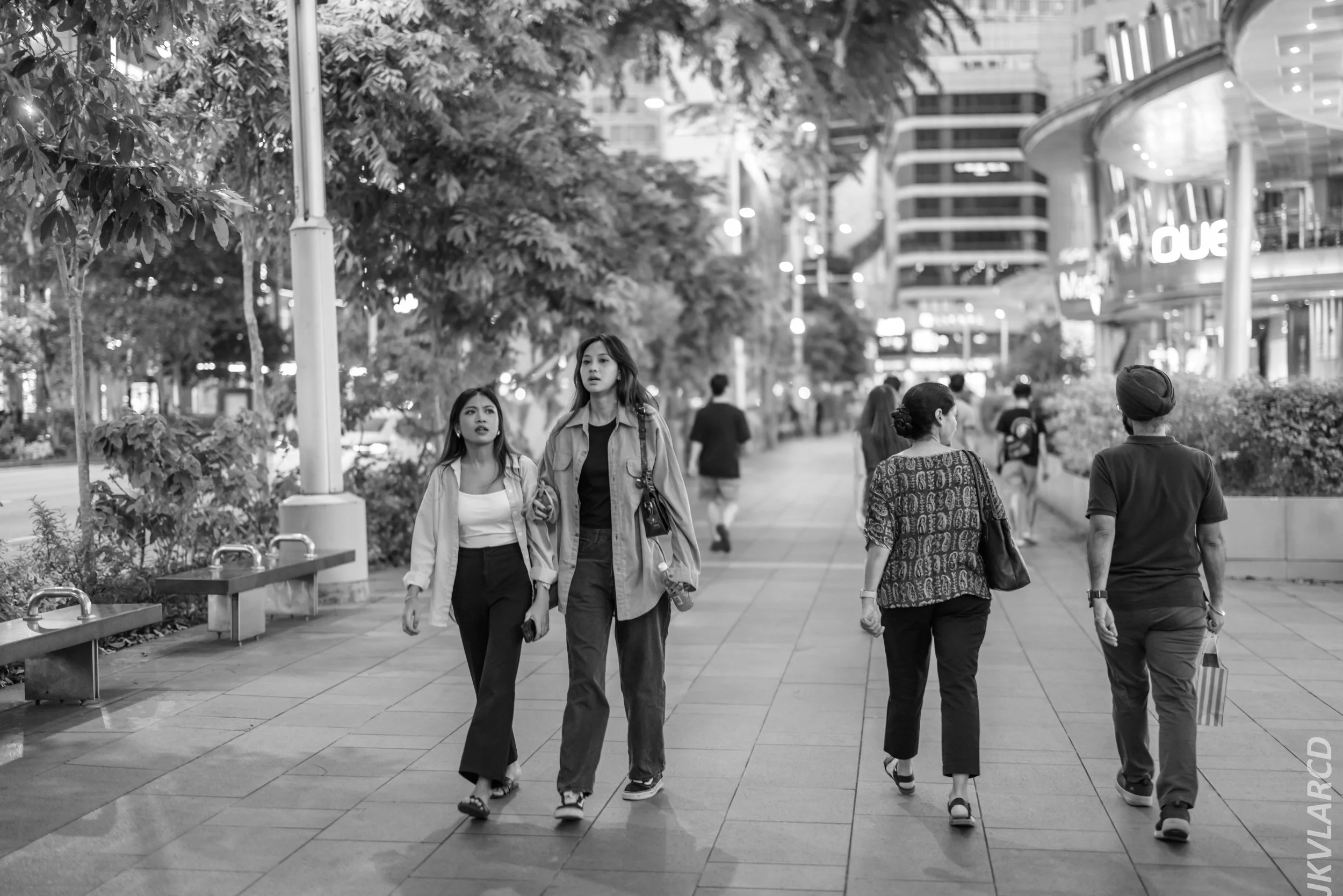 EOS R5_2024_08_03_0117.jpg