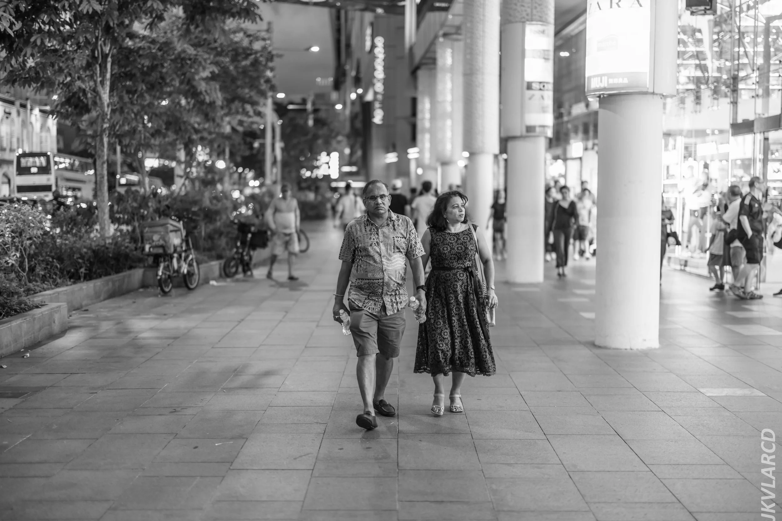 EOS R5_2024_08_03_0135.jpg