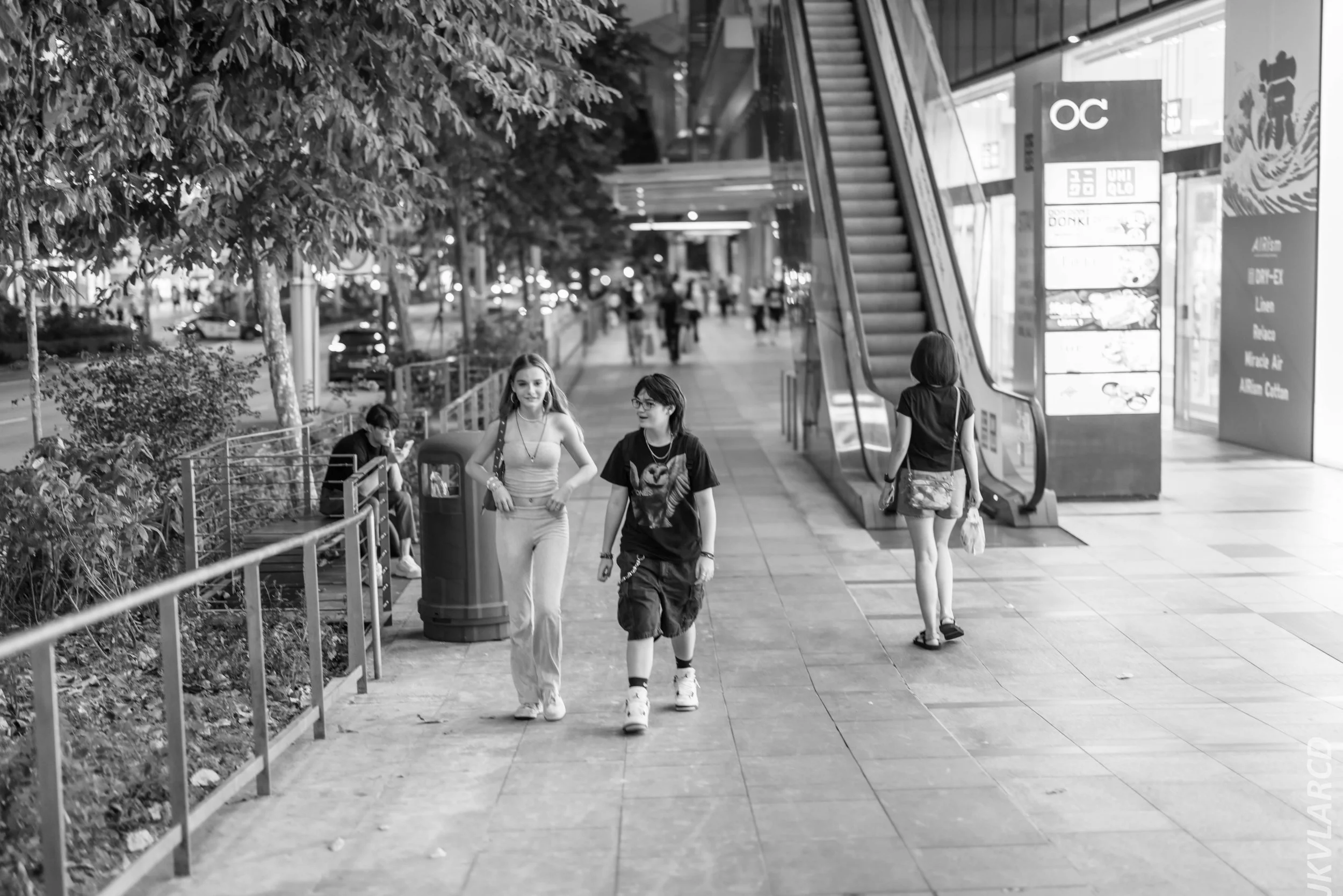 EOS R5_2024_08_03_0137.jpg