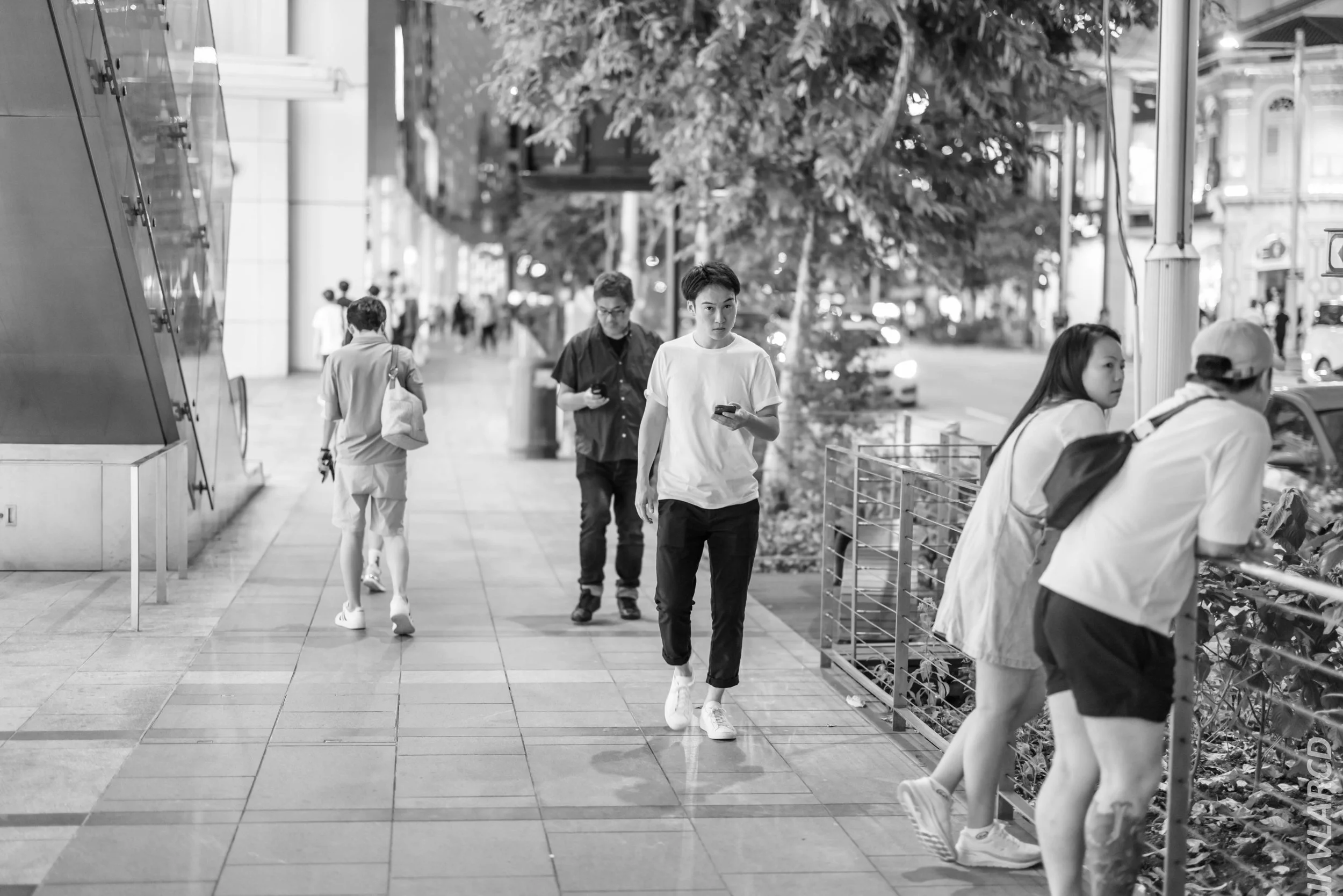 EOS R5_2024_08_03_0143.jpg