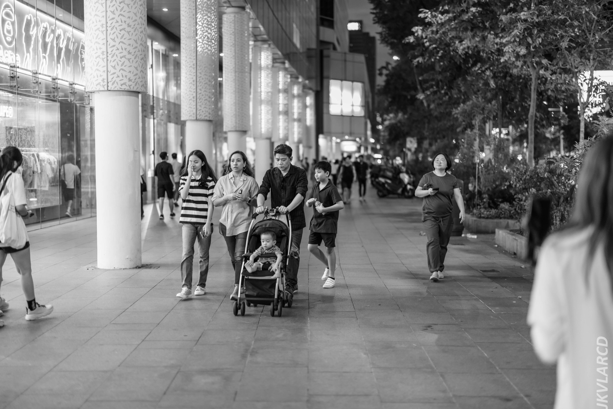EOS R5_2024_08_03_0146.jpg