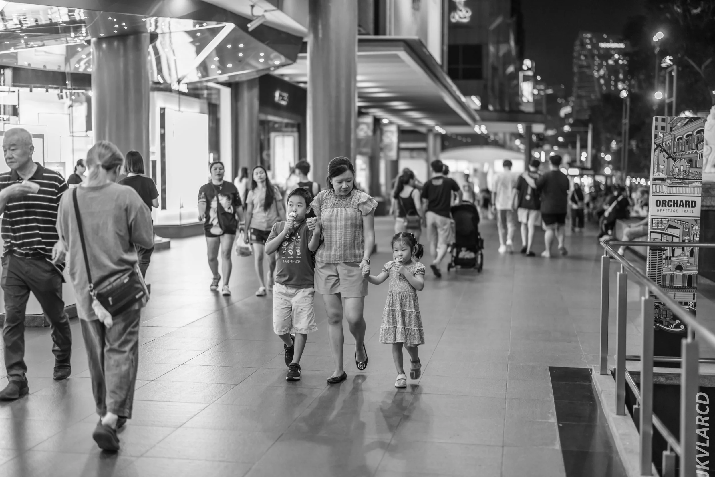 EOS R5_2024_08_03_0193.jpg