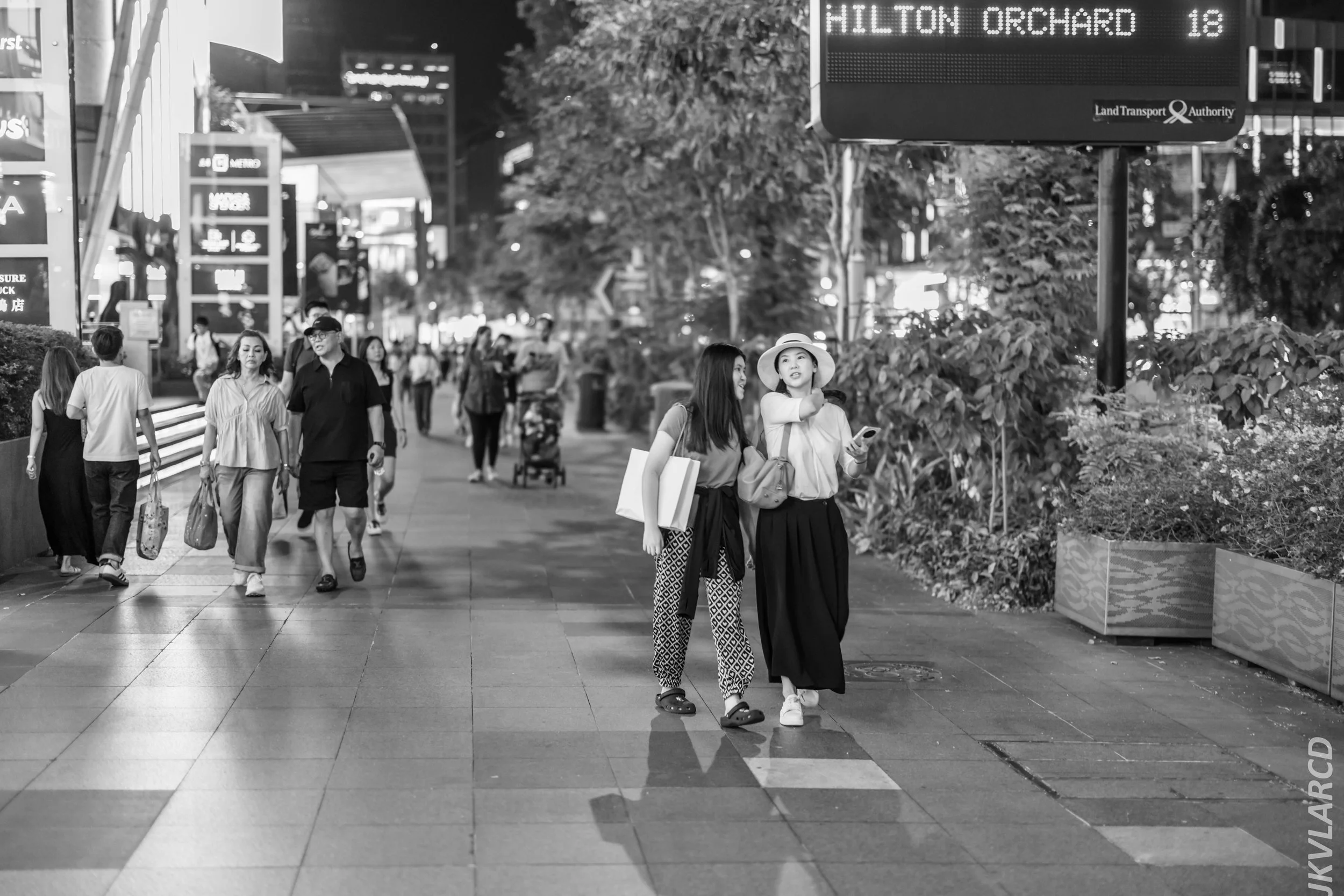 EOS R5_2024_08_03_0205.jpg