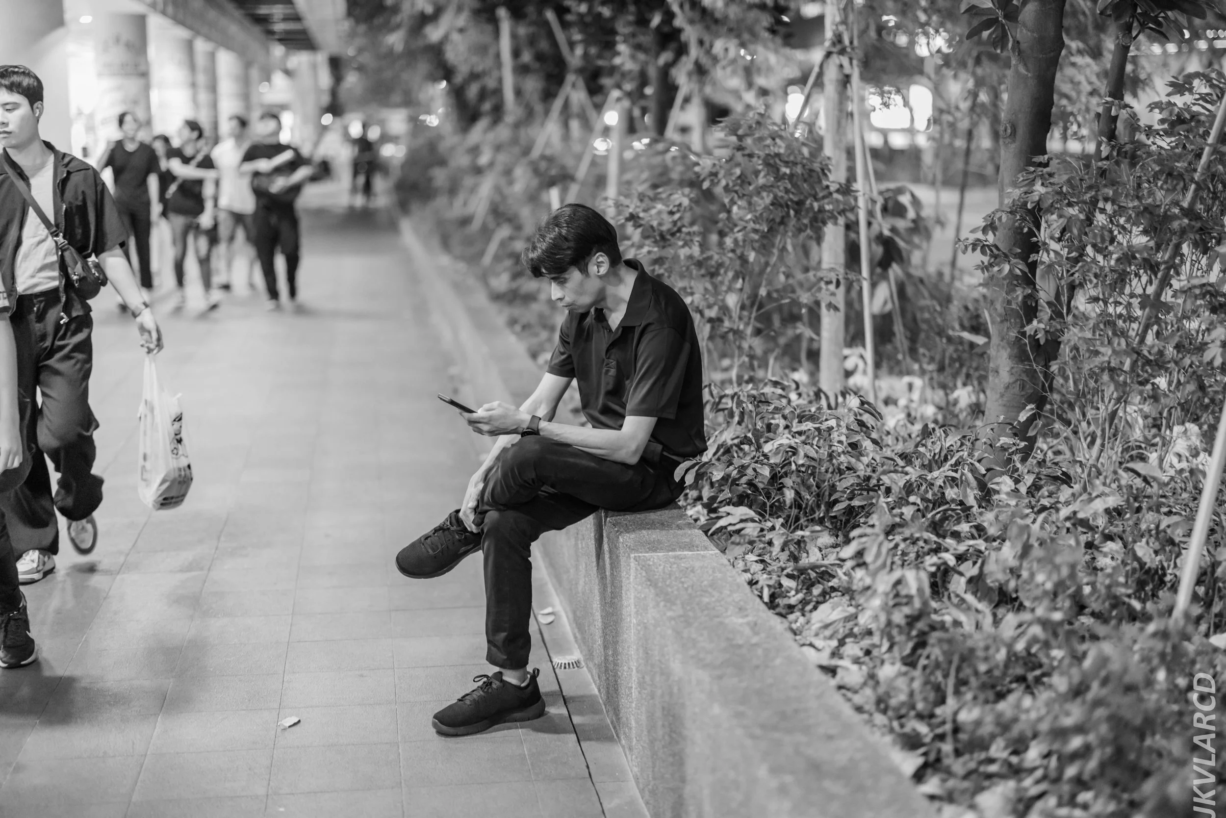 EOS R5_2024_08_03_0232.jpg