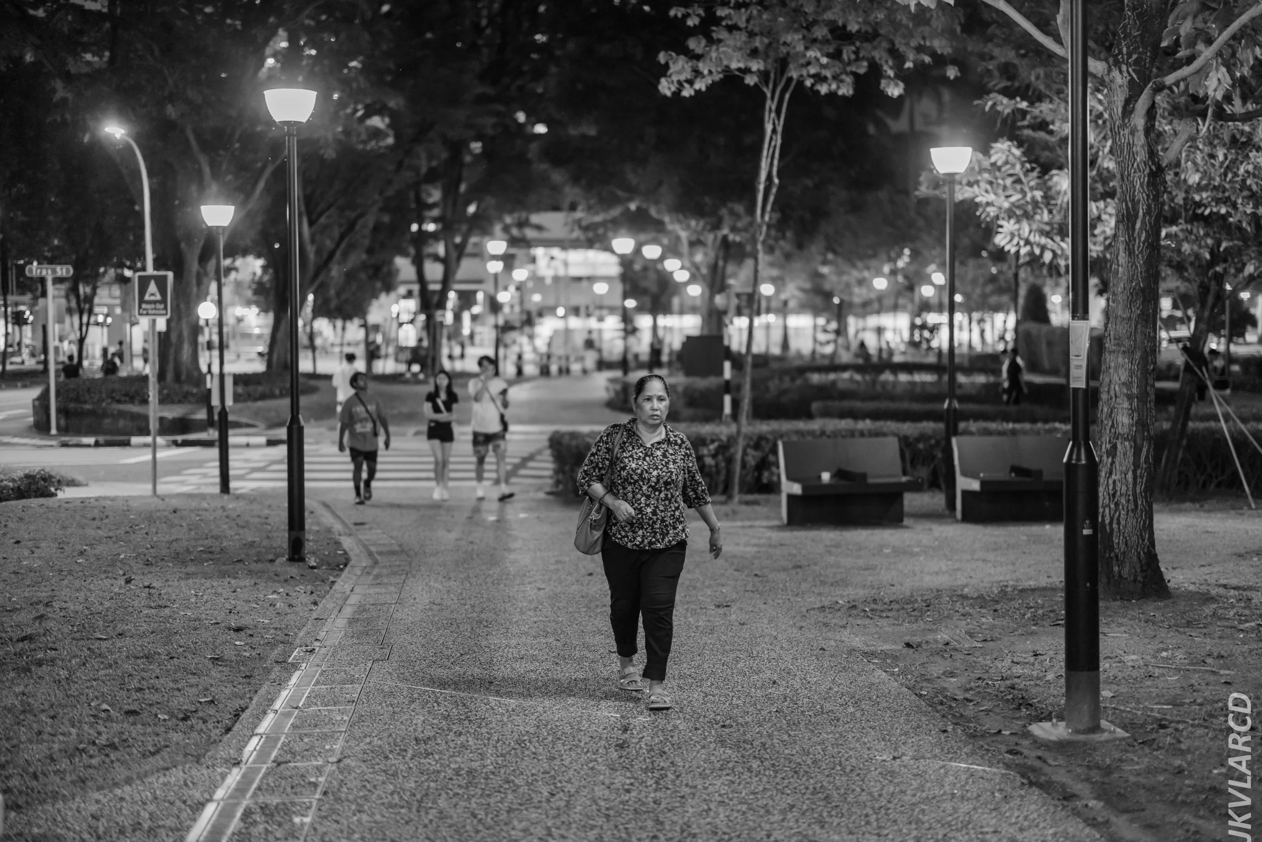 EOS R5_2024_08_10_0036.jpg