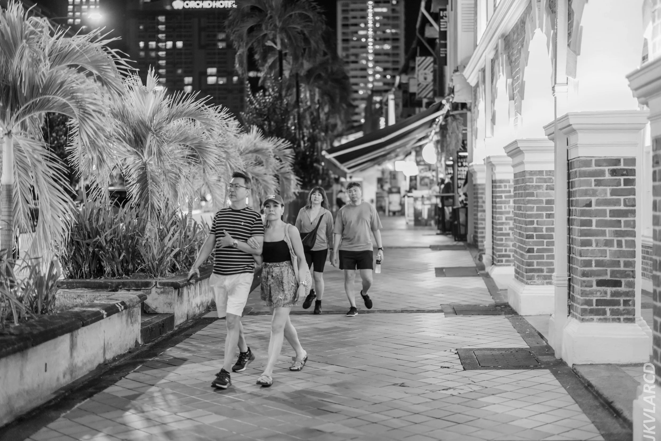 EOS R5_2024_08_10_0055.jpg