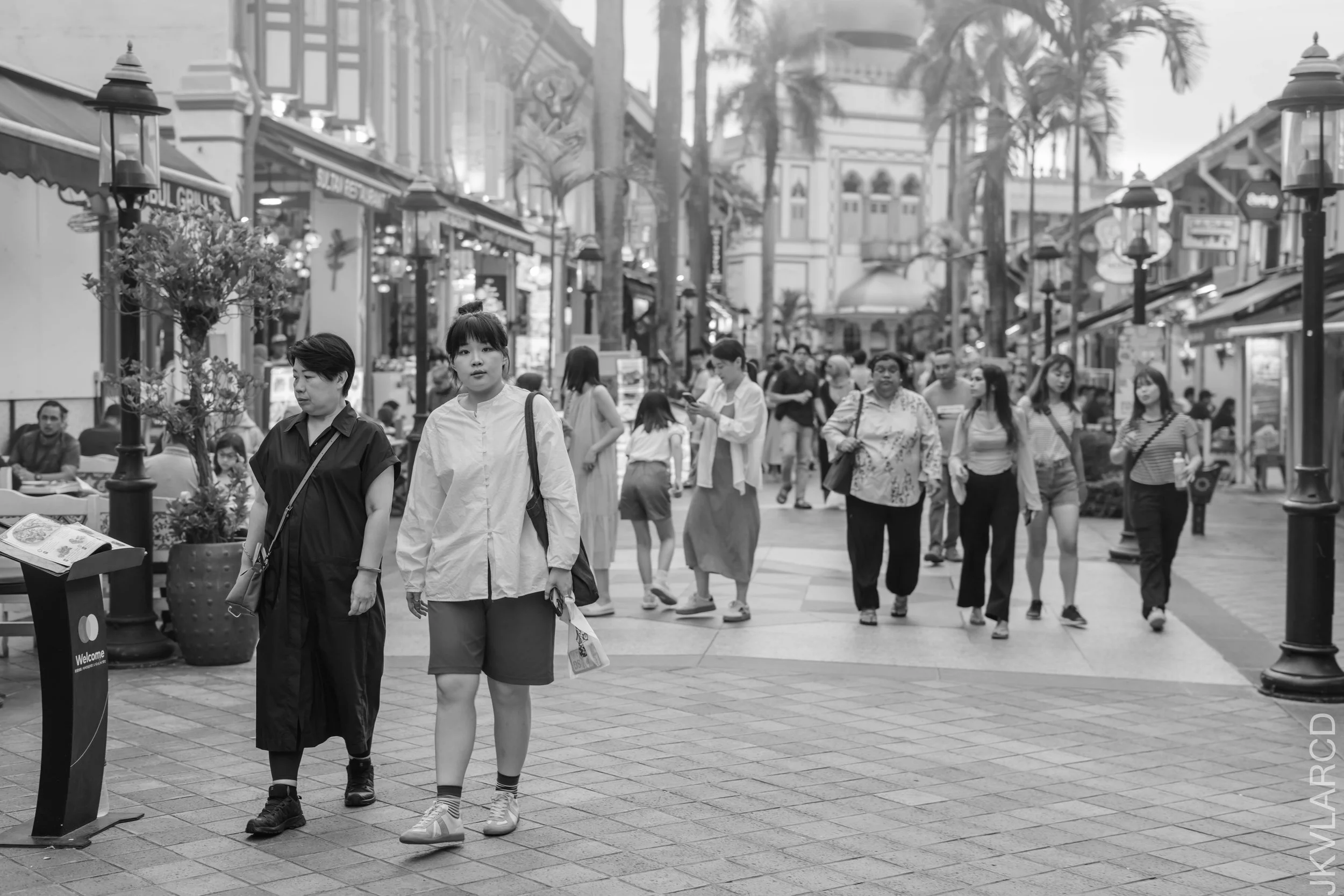 EOS R5_2024_08_24_0015.jpg