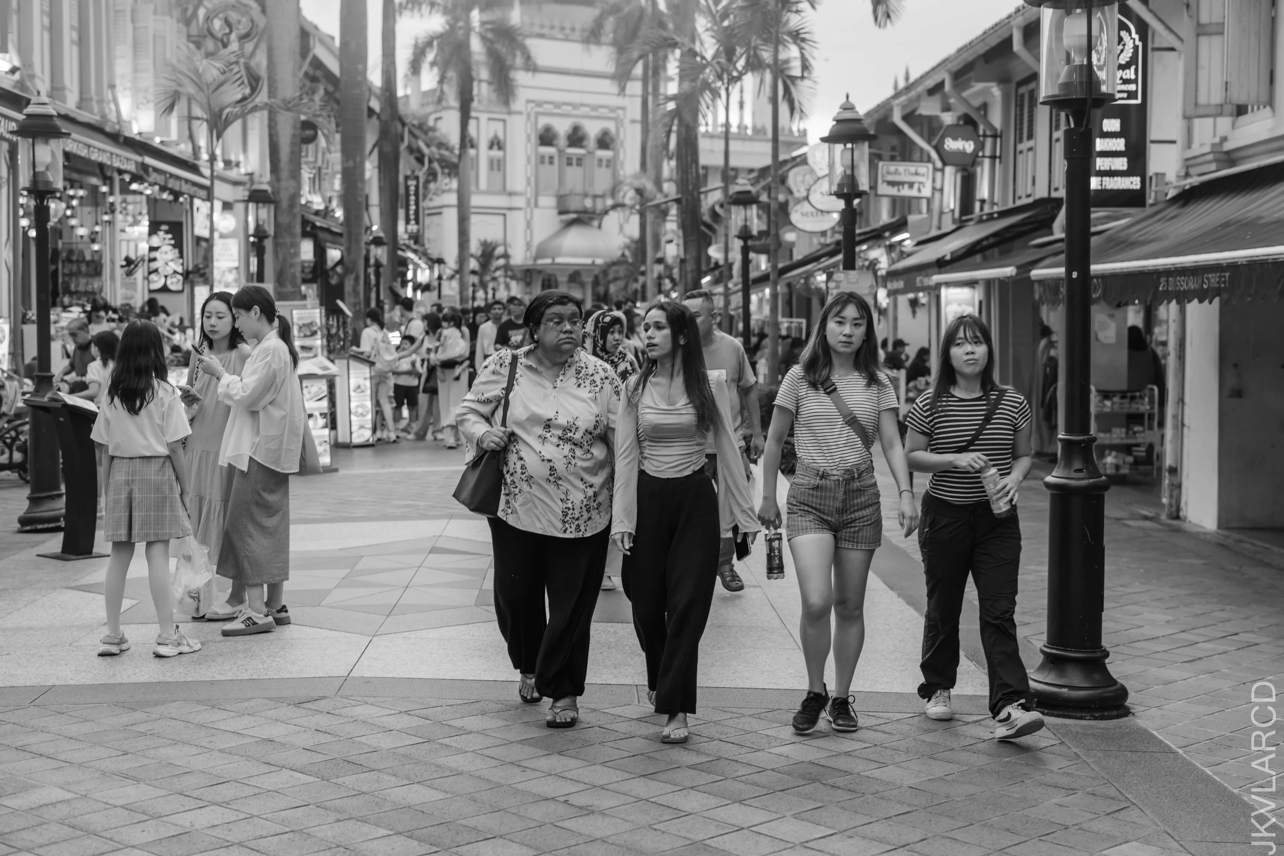 EOS R5_2024_08_24_0016.jpg