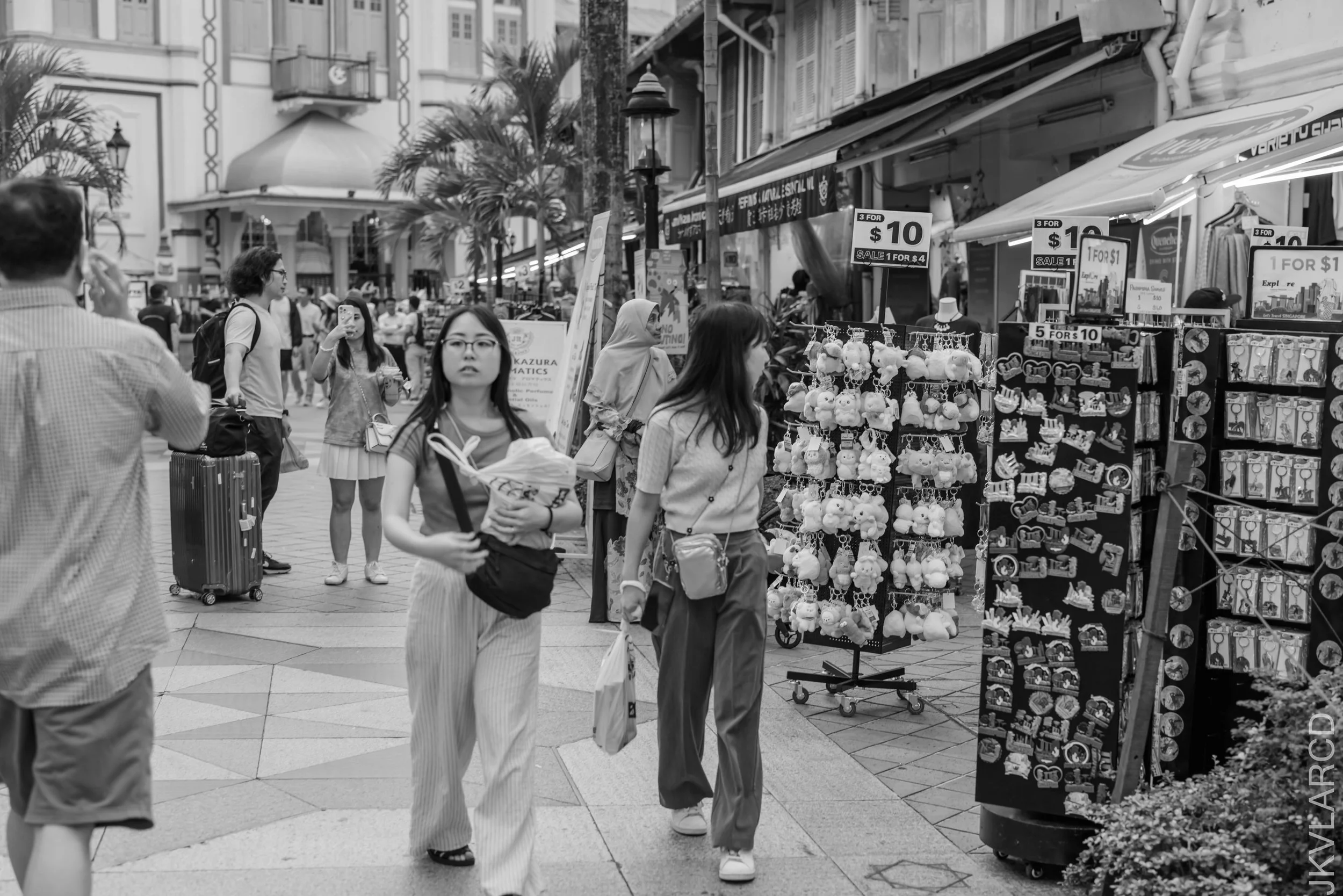 EOS R5_2024_08_24_0027.jpg