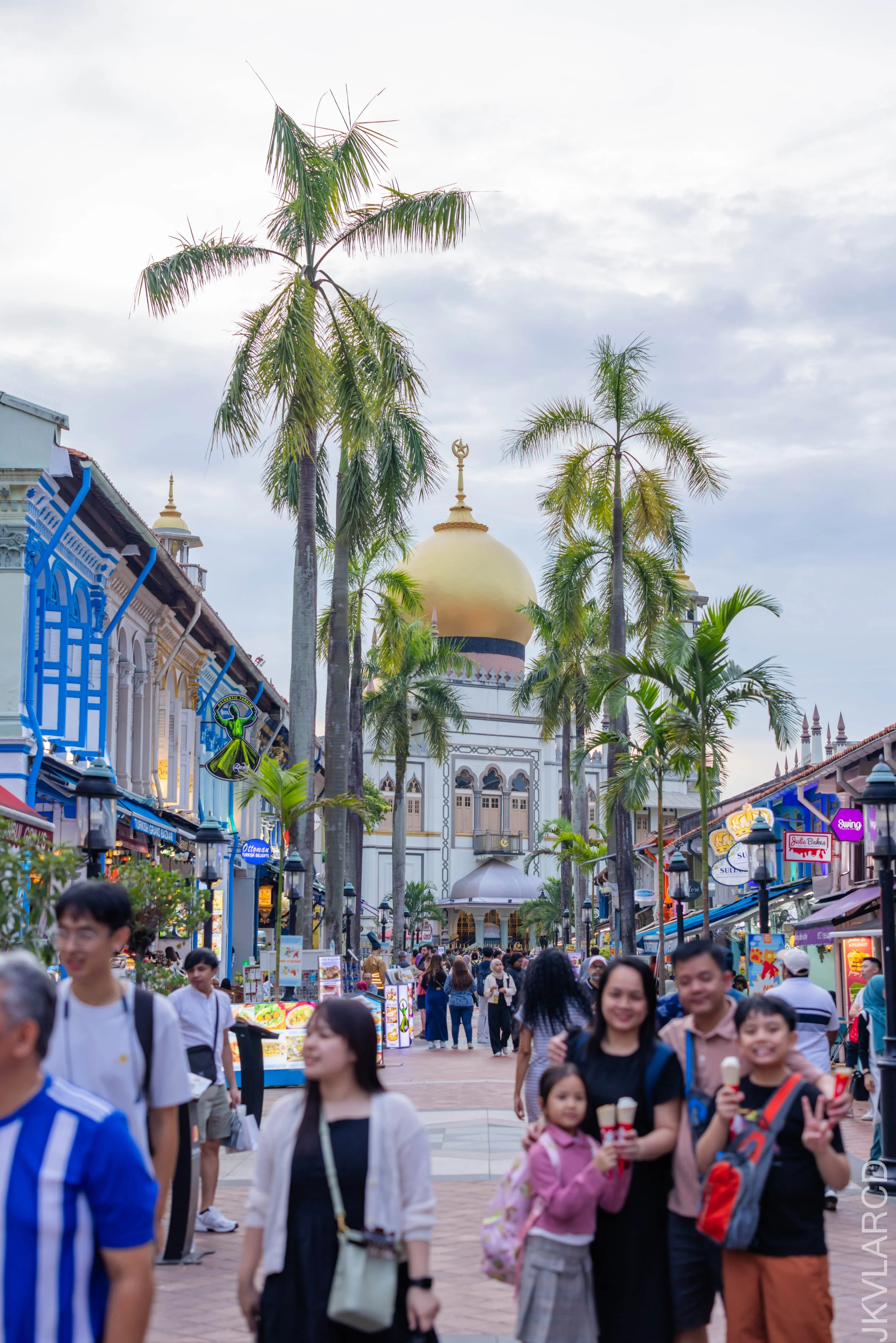 EOS R5_2024_08_24_0045.jpg