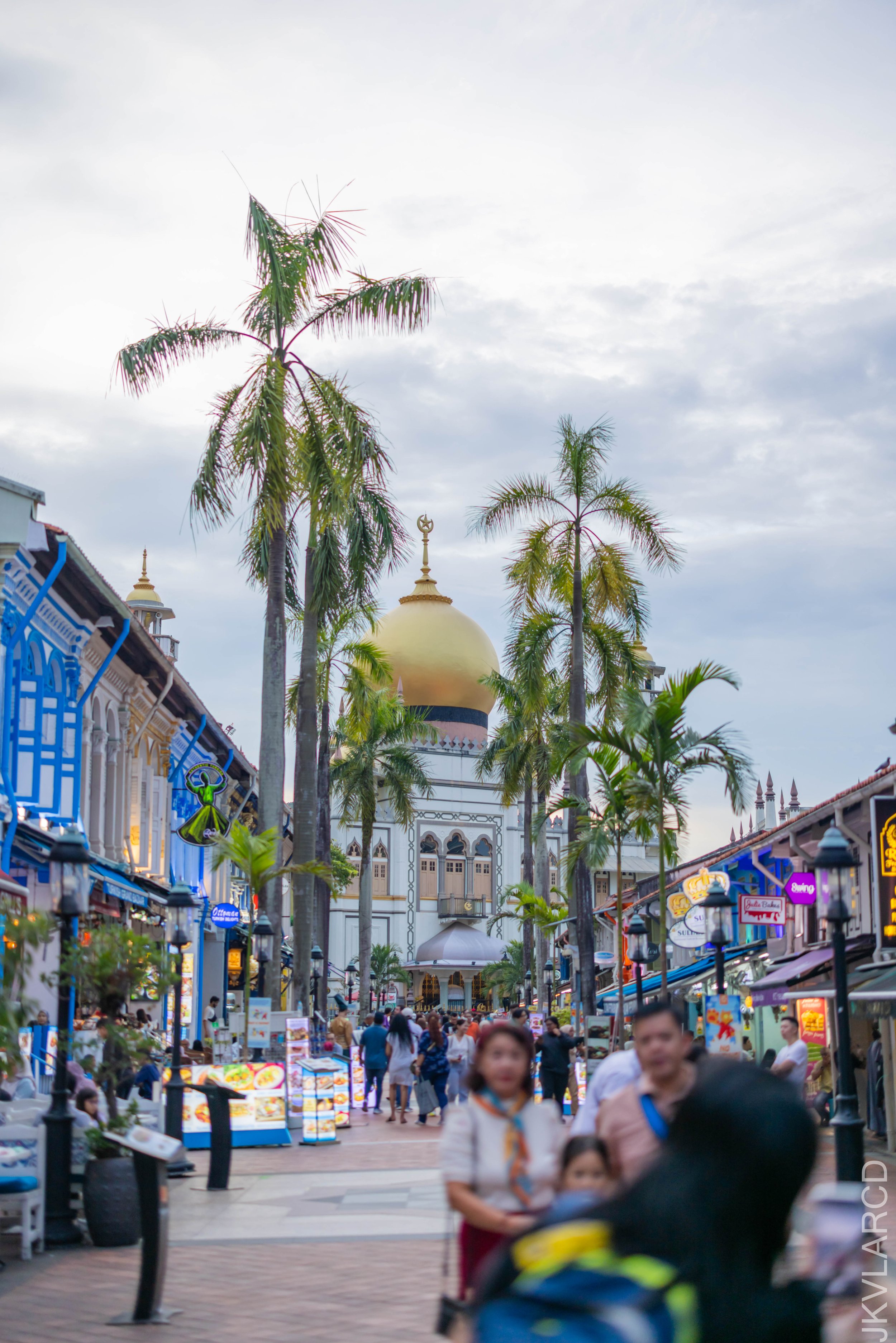 EOS R5_2024_08_24_0047.jpg