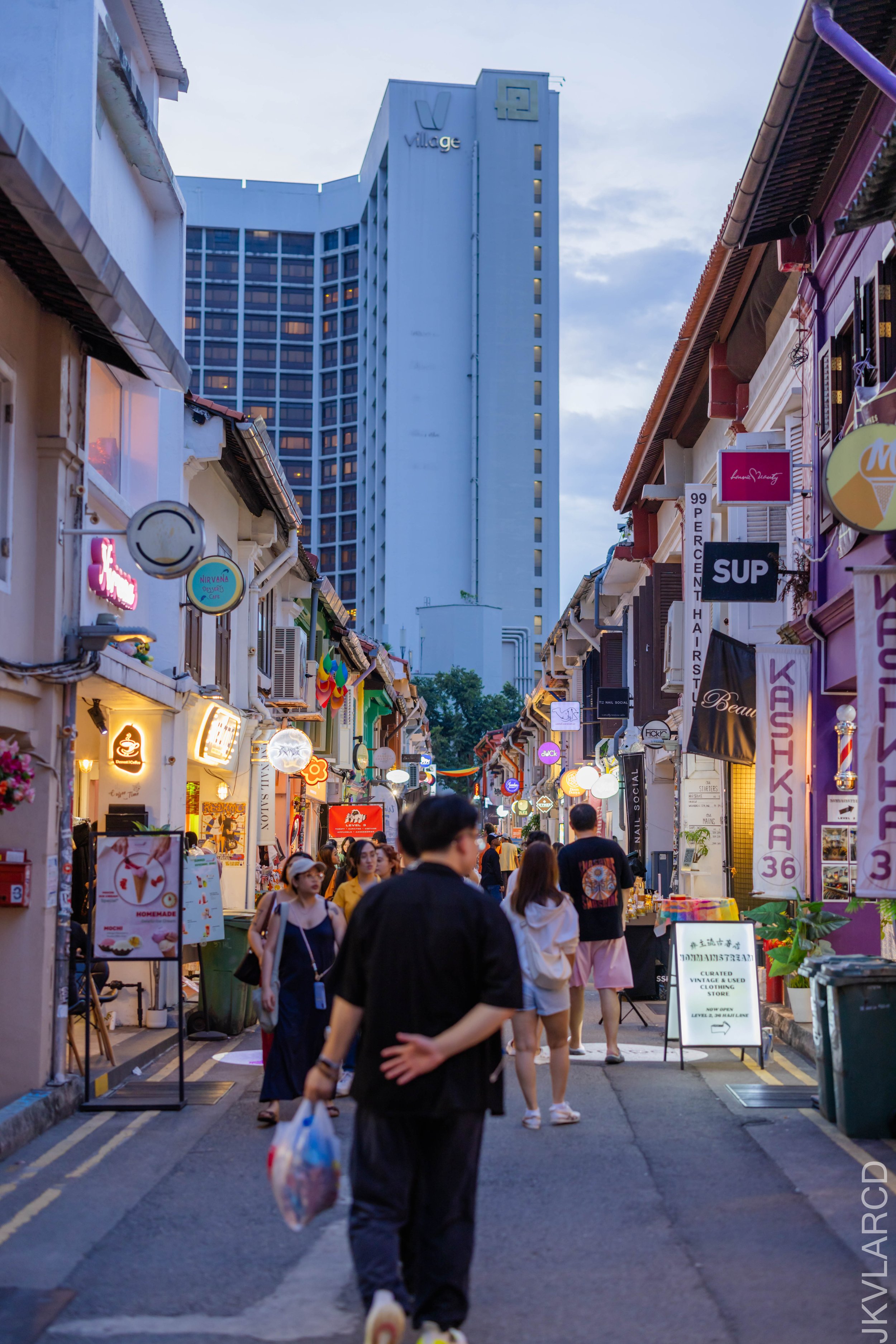 EOS R5_2024_08_24_0113.jpg