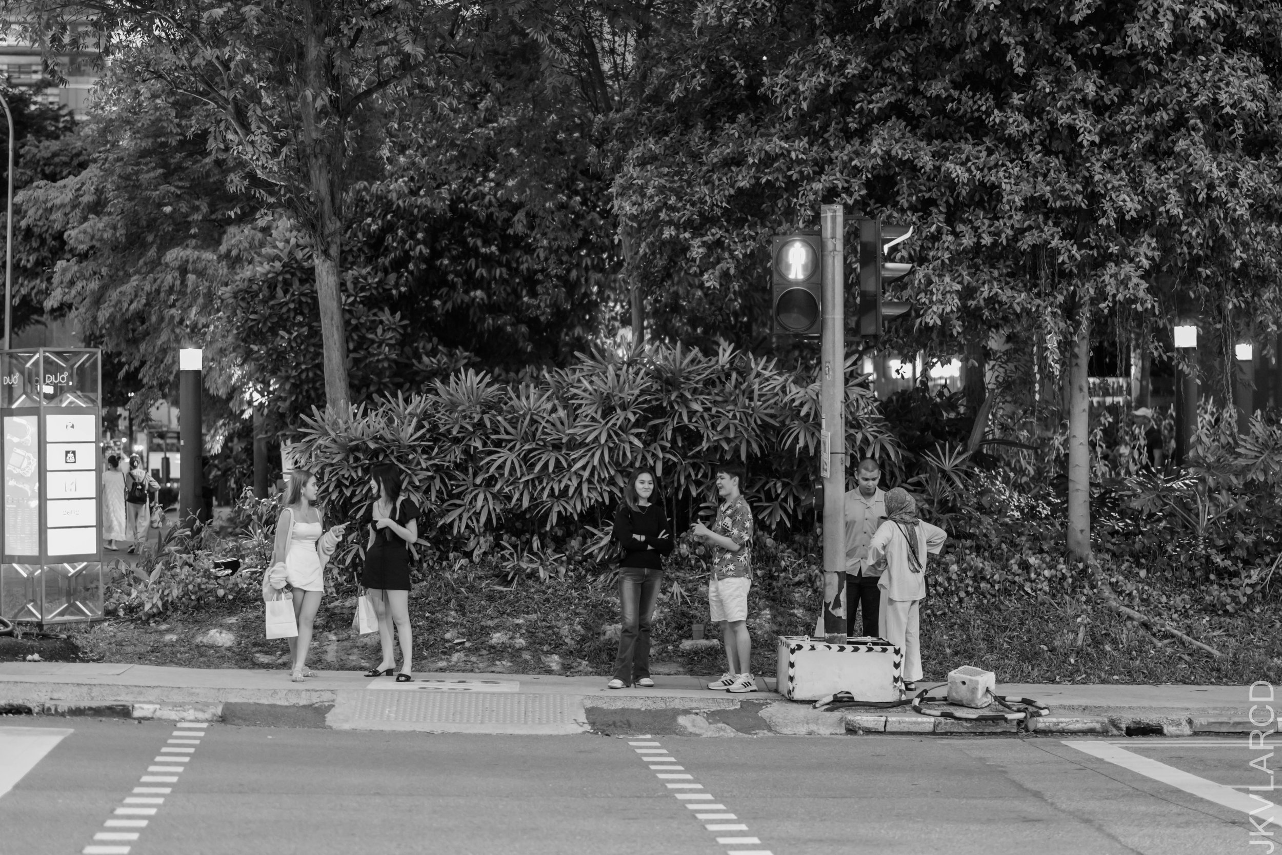 EOS R5_2024_08_24_0128.jpg