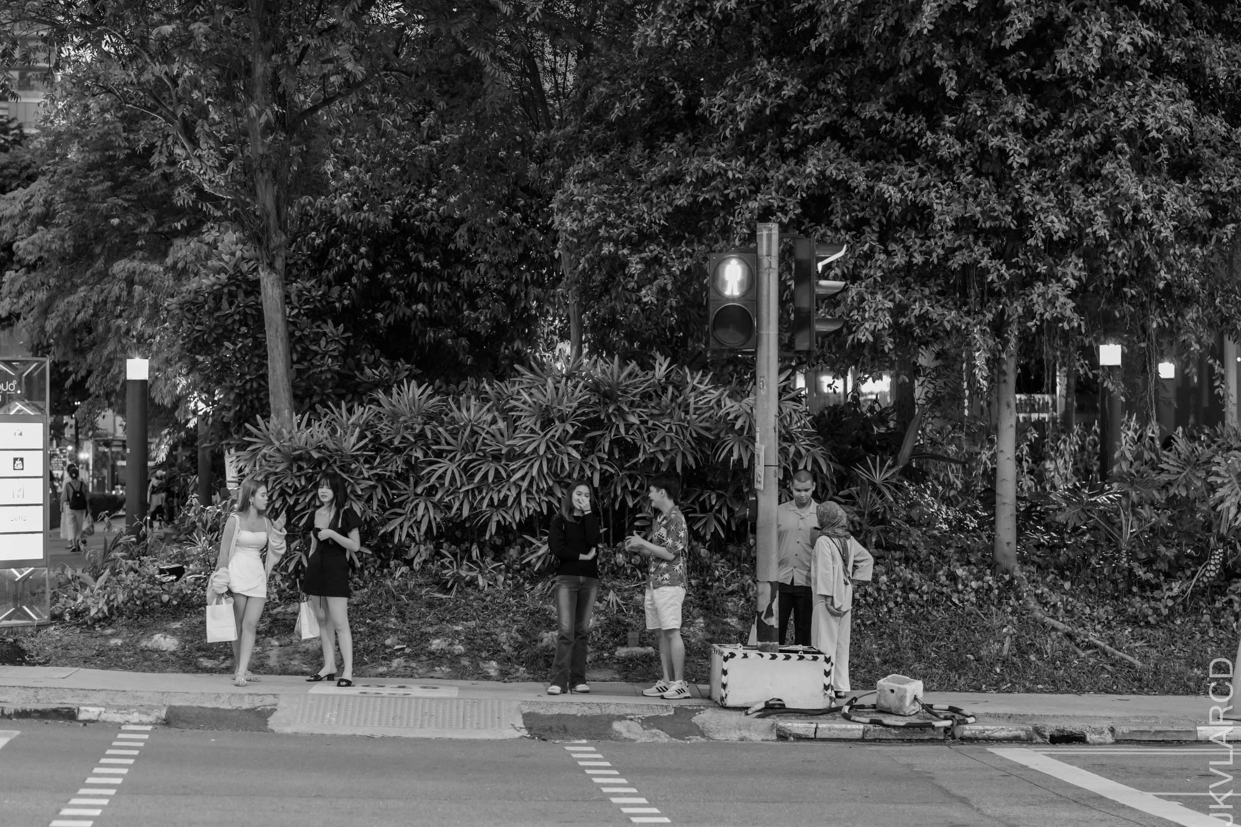 EOS R5_2024_08_24_0129.jpg