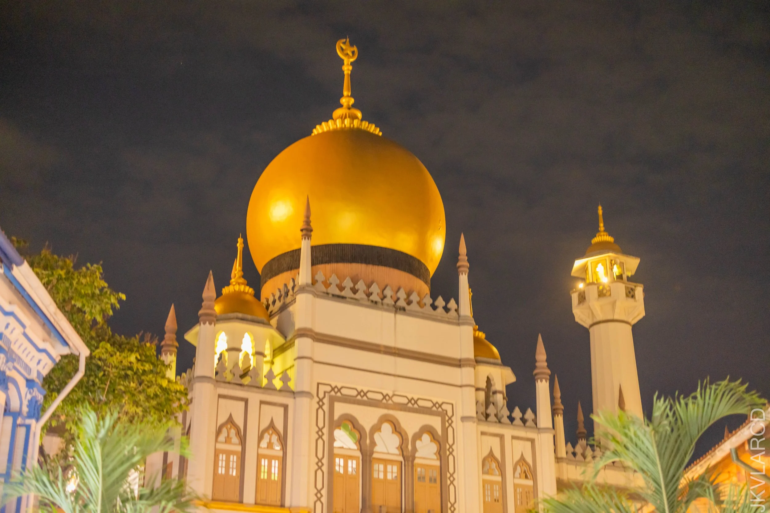 EOS R5_2024_08_24_0194.jpg